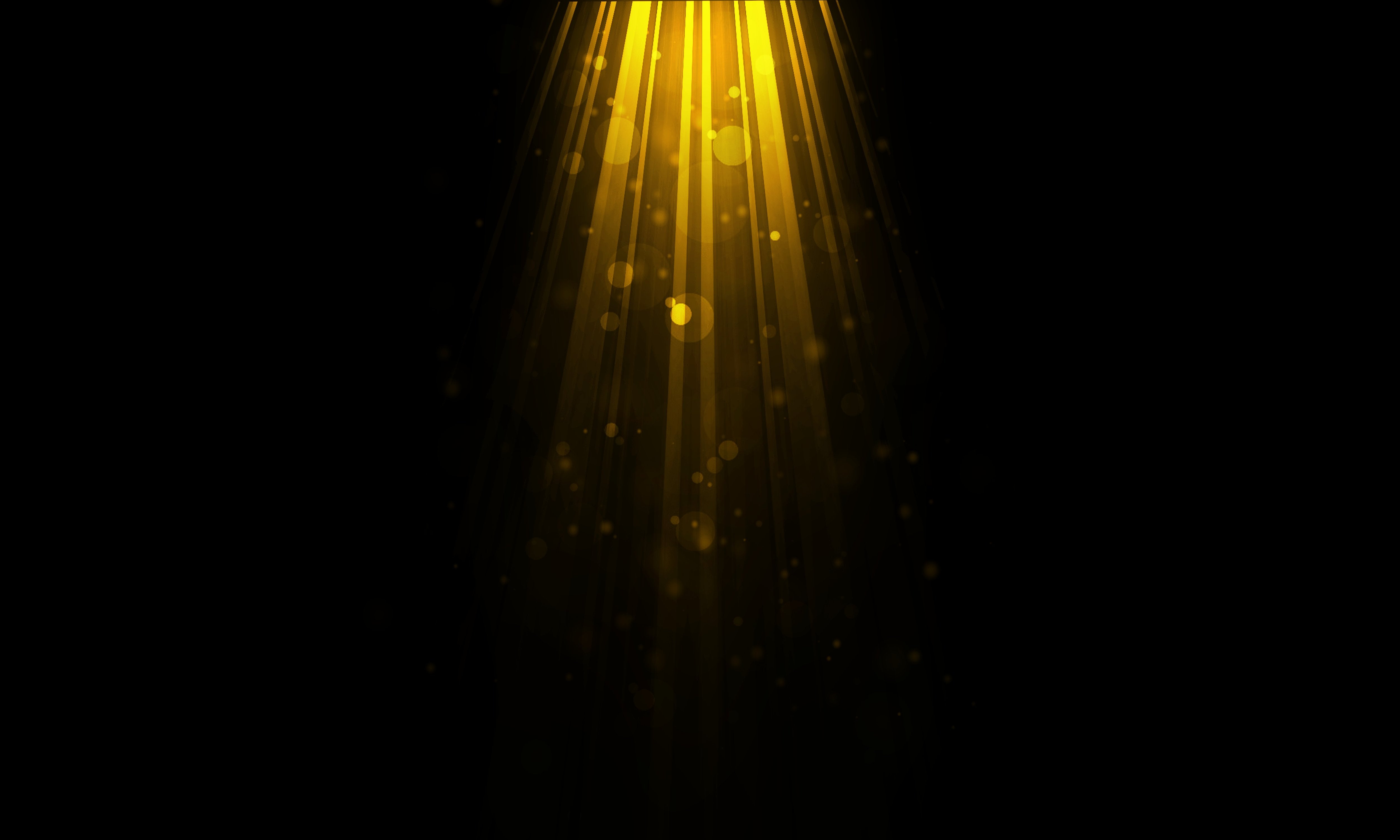 Shining Brightly in a Golden Hue