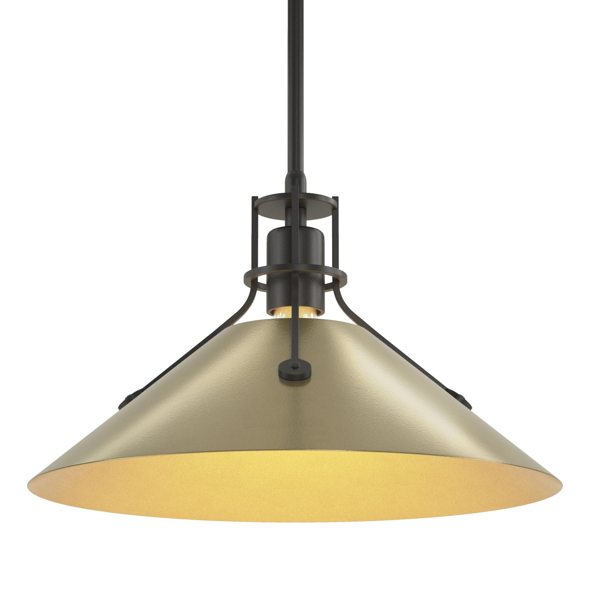 Henry Medium Steel Shade Pendant 1-Light Modern Brass Accent in Black