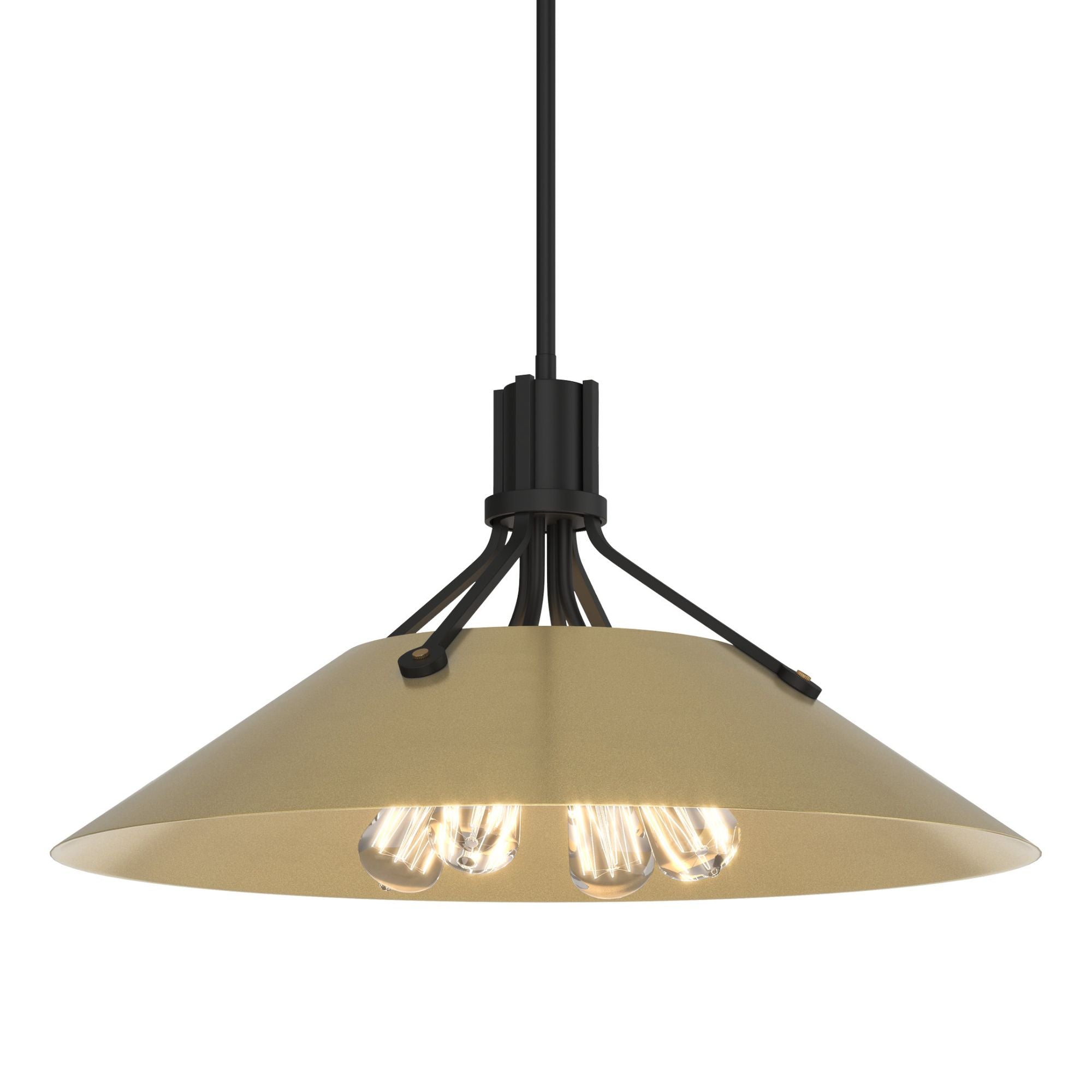 Henry Pendant 4-Light Modern Brass Accent in Black