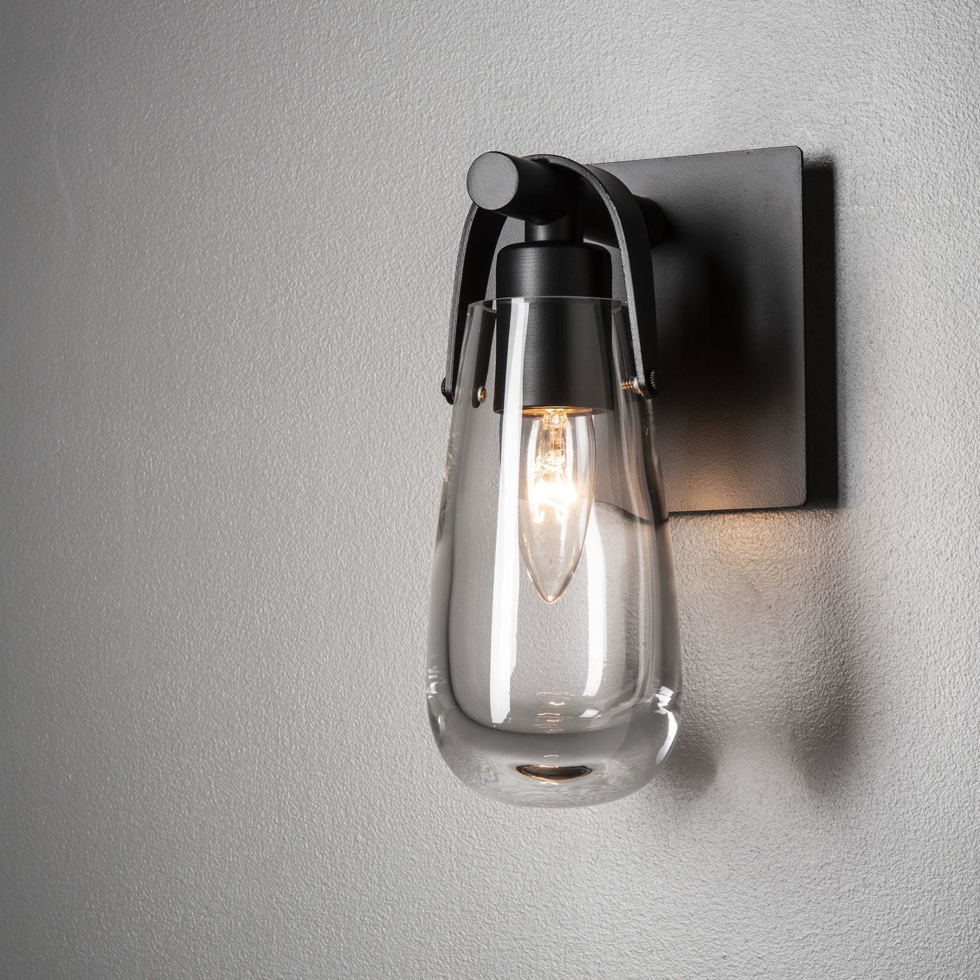 Eos 1-Light Bath Sconce 1-Light Clear Glass (ZM) in Black