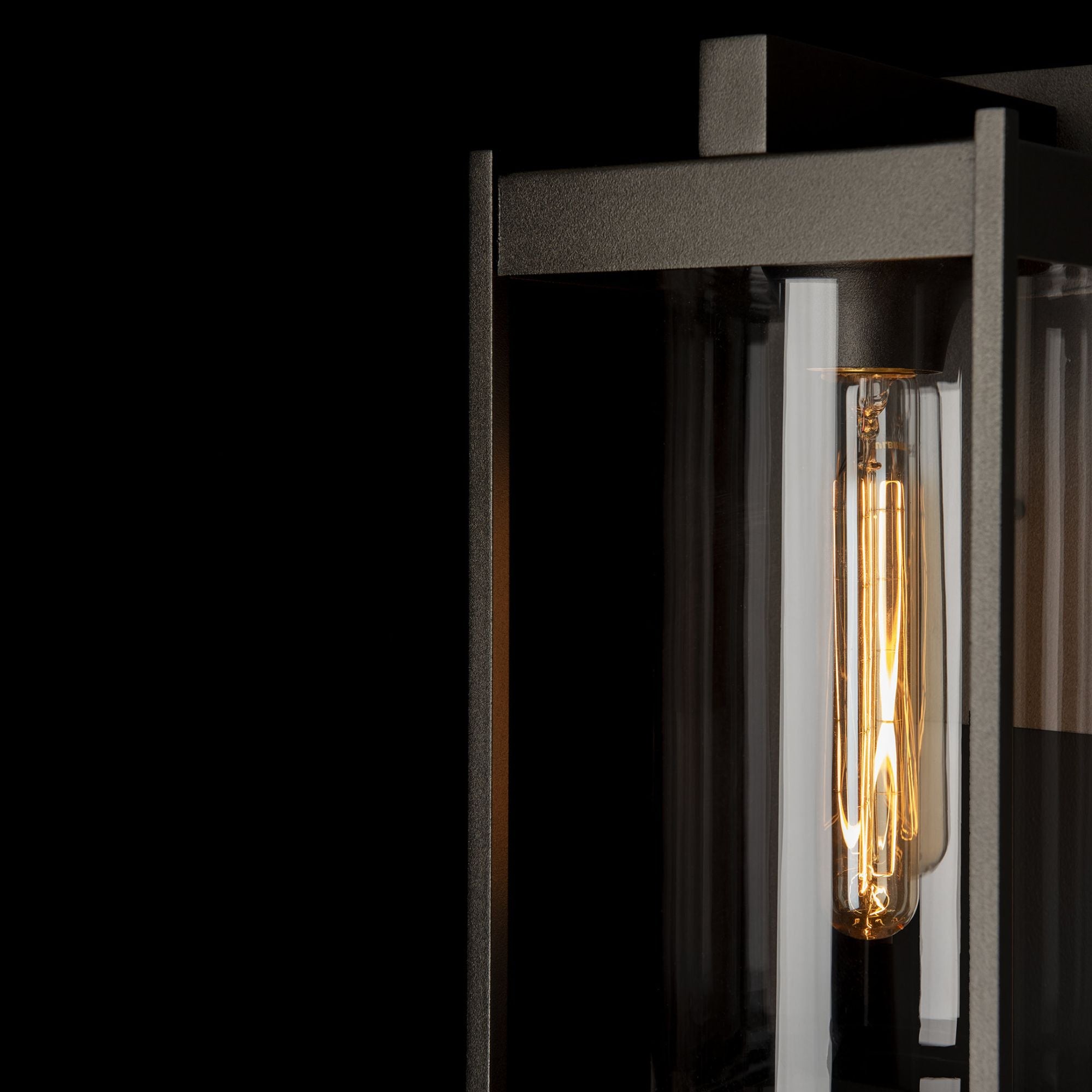 Cela Clear Glass Medium Outdoor Sconce 1-Light Clear Glass (ZM) in Coastal Oil Rubbed Bronze