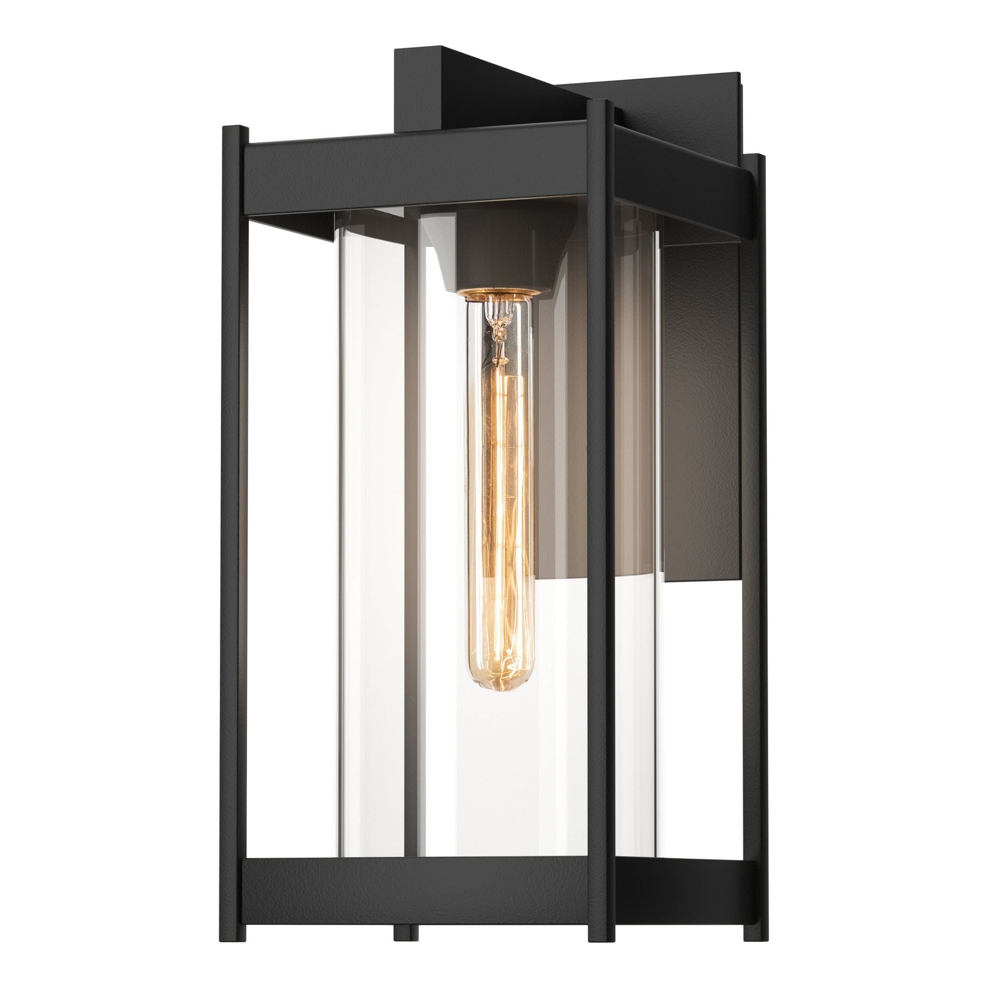 Cela Clear Glass Medium Outdoor Sconce 1-Light Clear Glass (ZM) in Coastal Black
