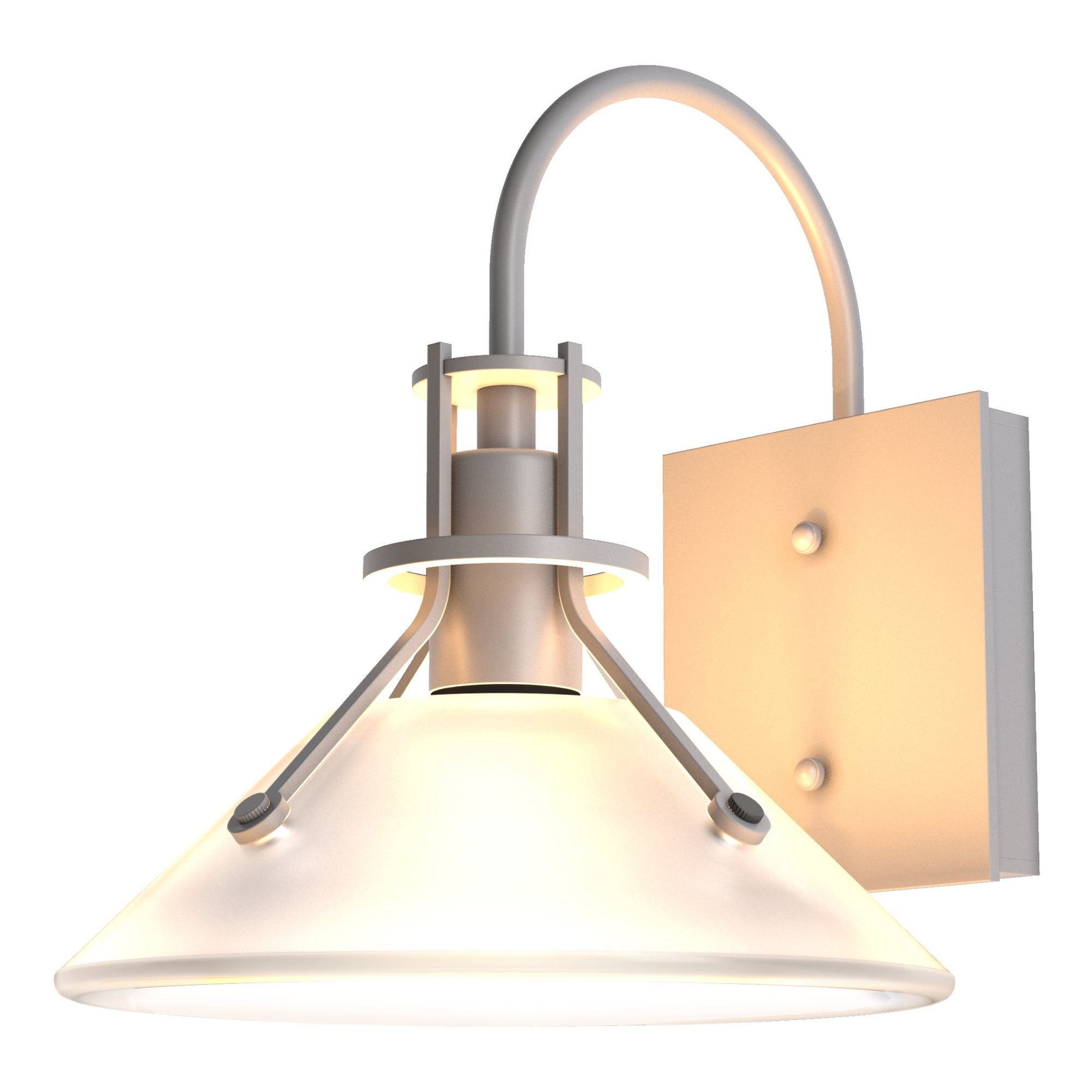 Henry Small Glass Shade Outdoor Sconce 1-Light Frosted Glass (FD) in Coastal Burnished Steel