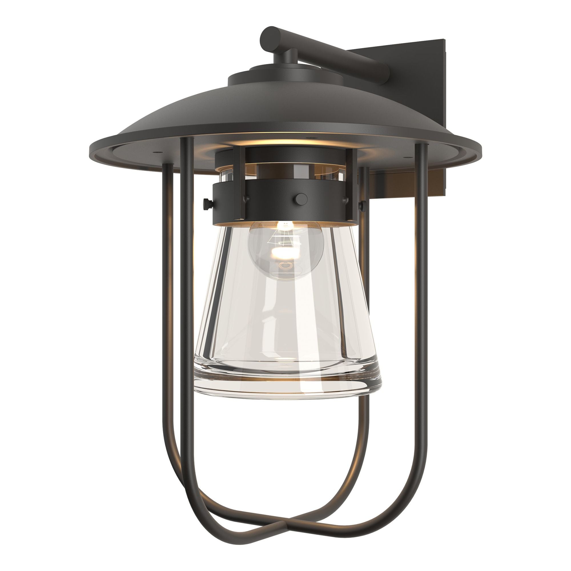 Erlenmeyer Large Outdoor Sconce 1-Light Clear Glass (ZM) in Coastal Oil Rubbed Bronze