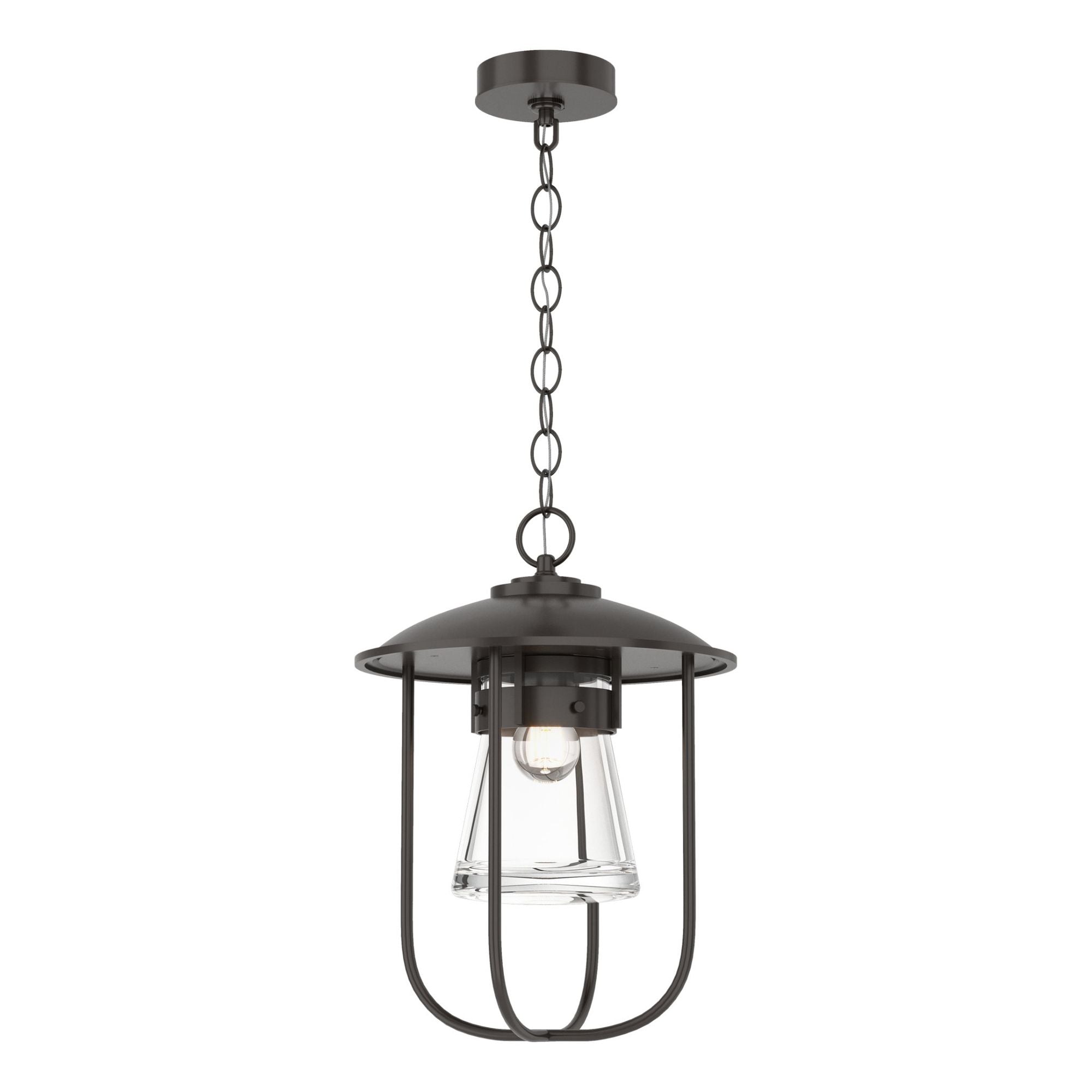 Erlenmeyer Outdoor Pendant 1-Light Clear Glass (ZM) in Coastal Oil Rubbed Bronze