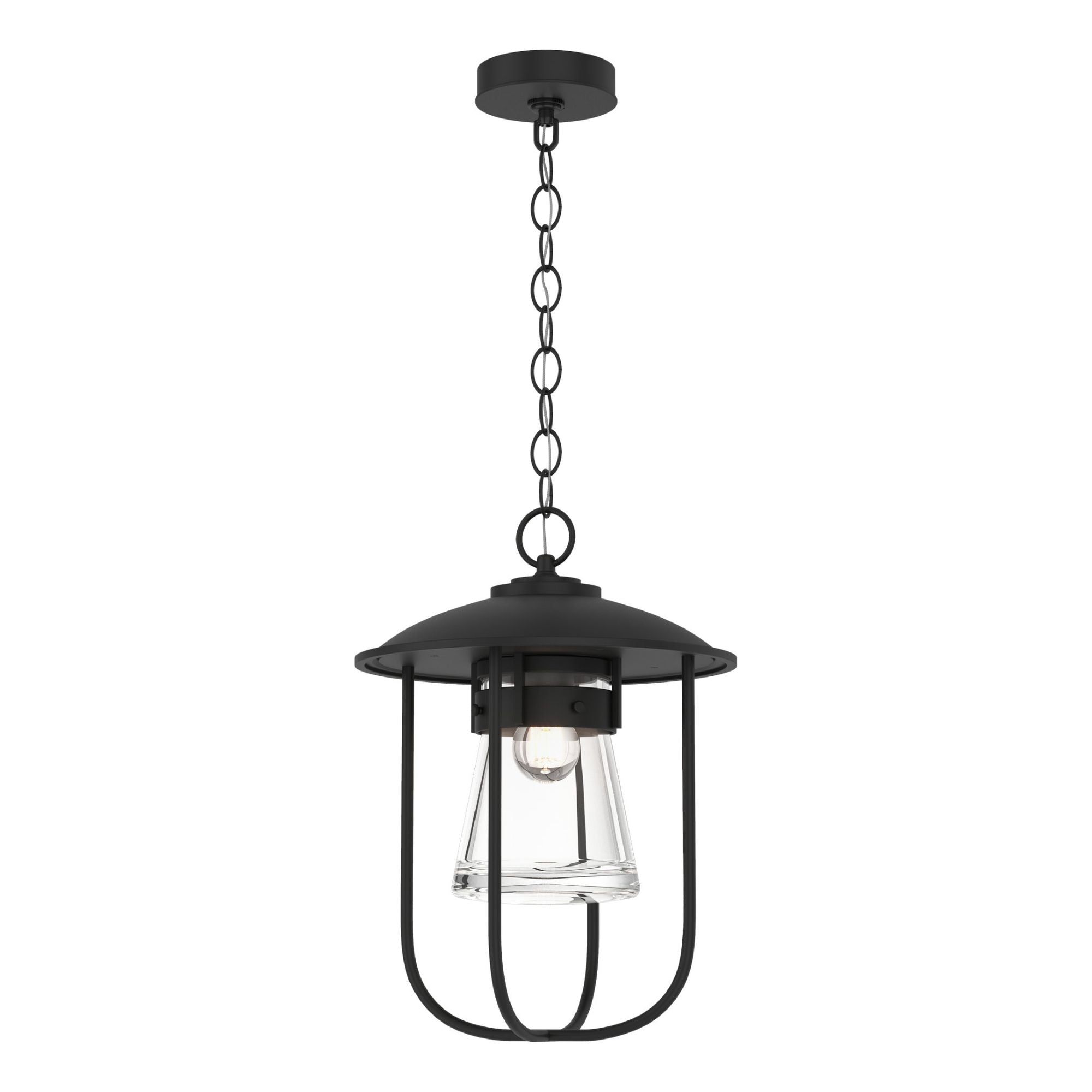 Erlenmeyer Outdoor Pendant 1-Light Clear Glass (ZM) in Coastal Black