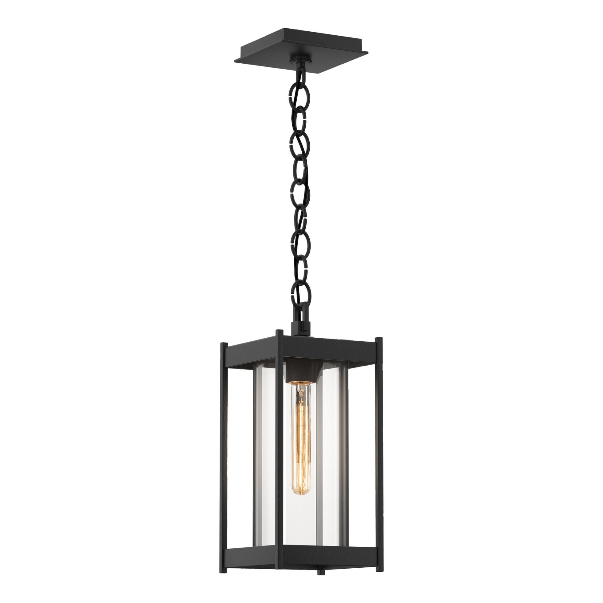 Cela Medium Outdoor Lantern 1-Light Clear Glass (ZM) in Coastal Black