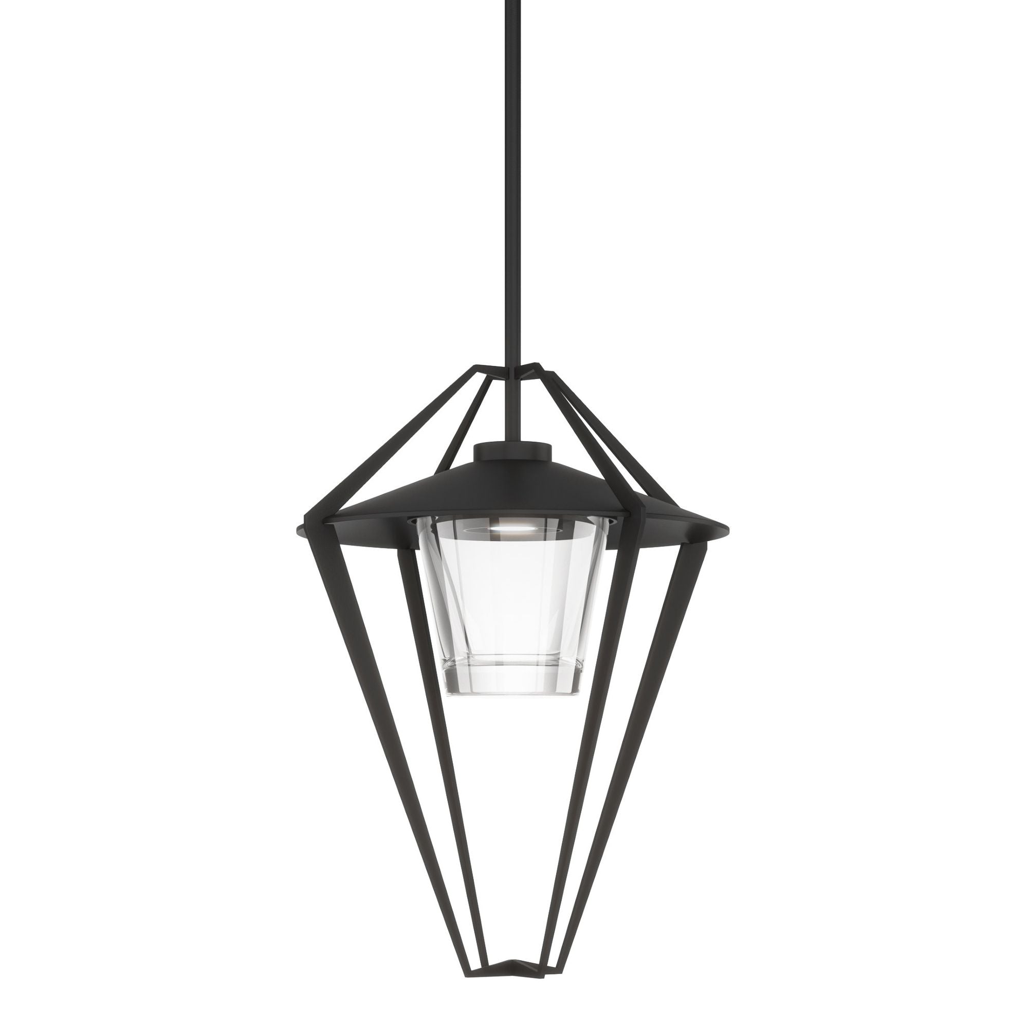 Stellar Large Outdoor Pendant/Semi-Flush 1-Light Clear Glass (ZM) in Coastal Black
