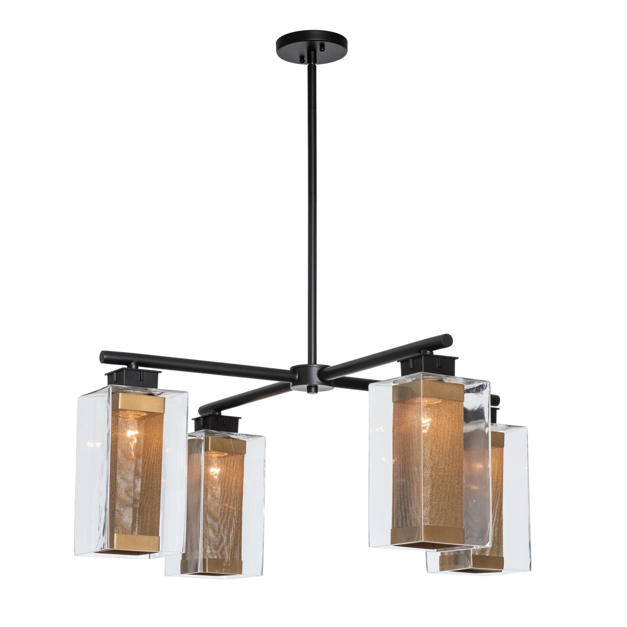 Polaris Outdoor 4-Light Pendant 4-Light Coastal Gold Accent Clear Glass (ZM) in Coastal Black