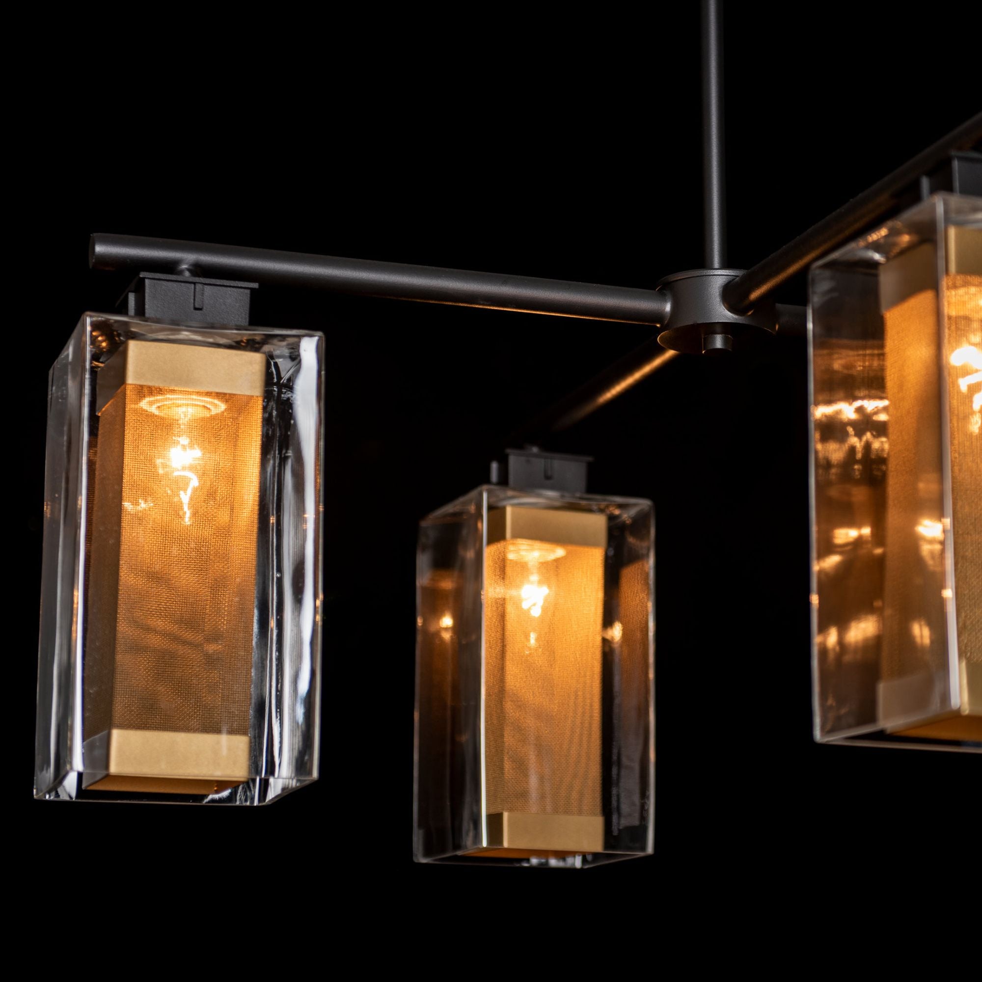 Polaris Outdoor 4-Light Pendant 4-Light Coastal Gold Accent Clear Glass (ZM) in Coastal Black