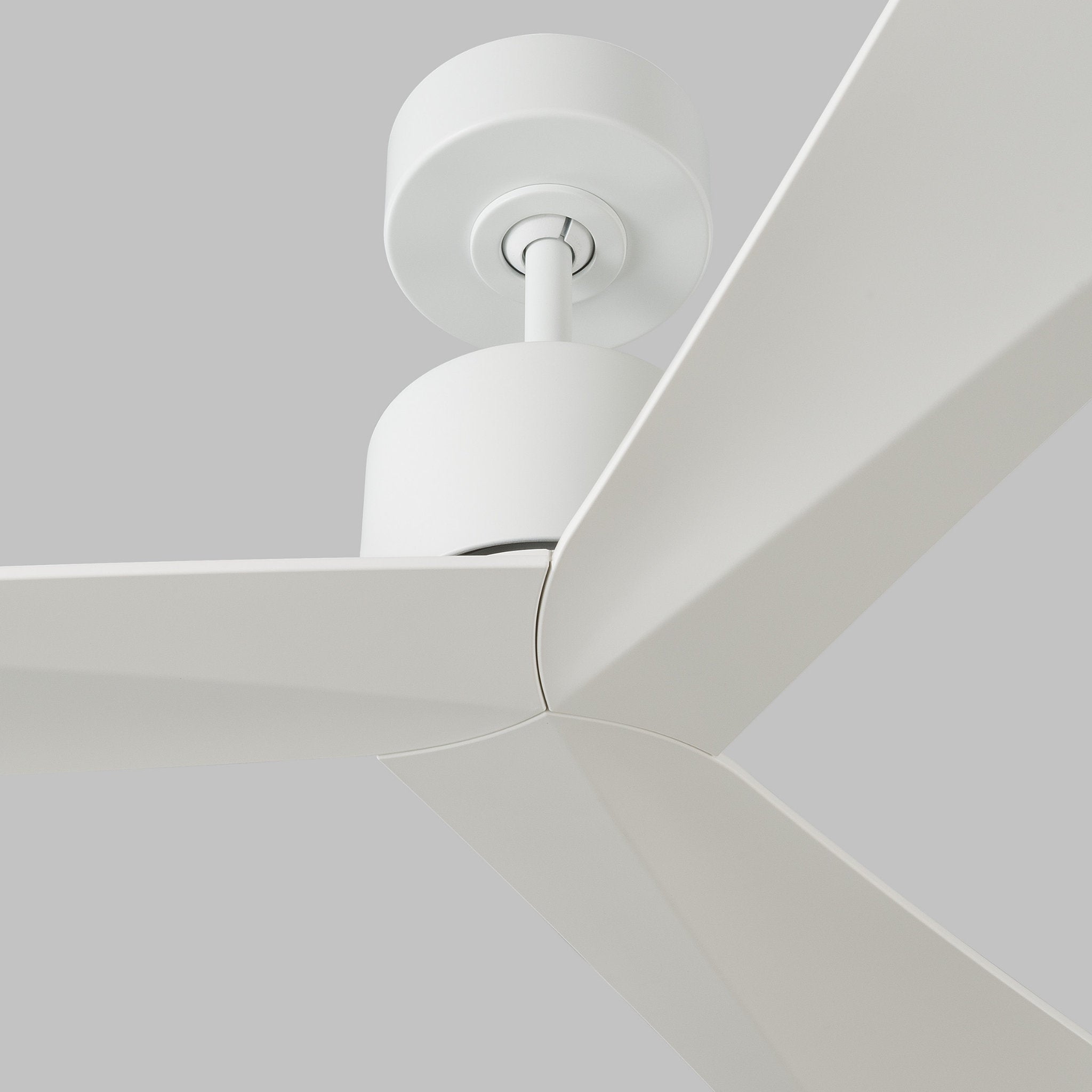 Adler 52" Ceiling Fan in Matte White w/ Matte White Blade D:52'' H:12 1/2''