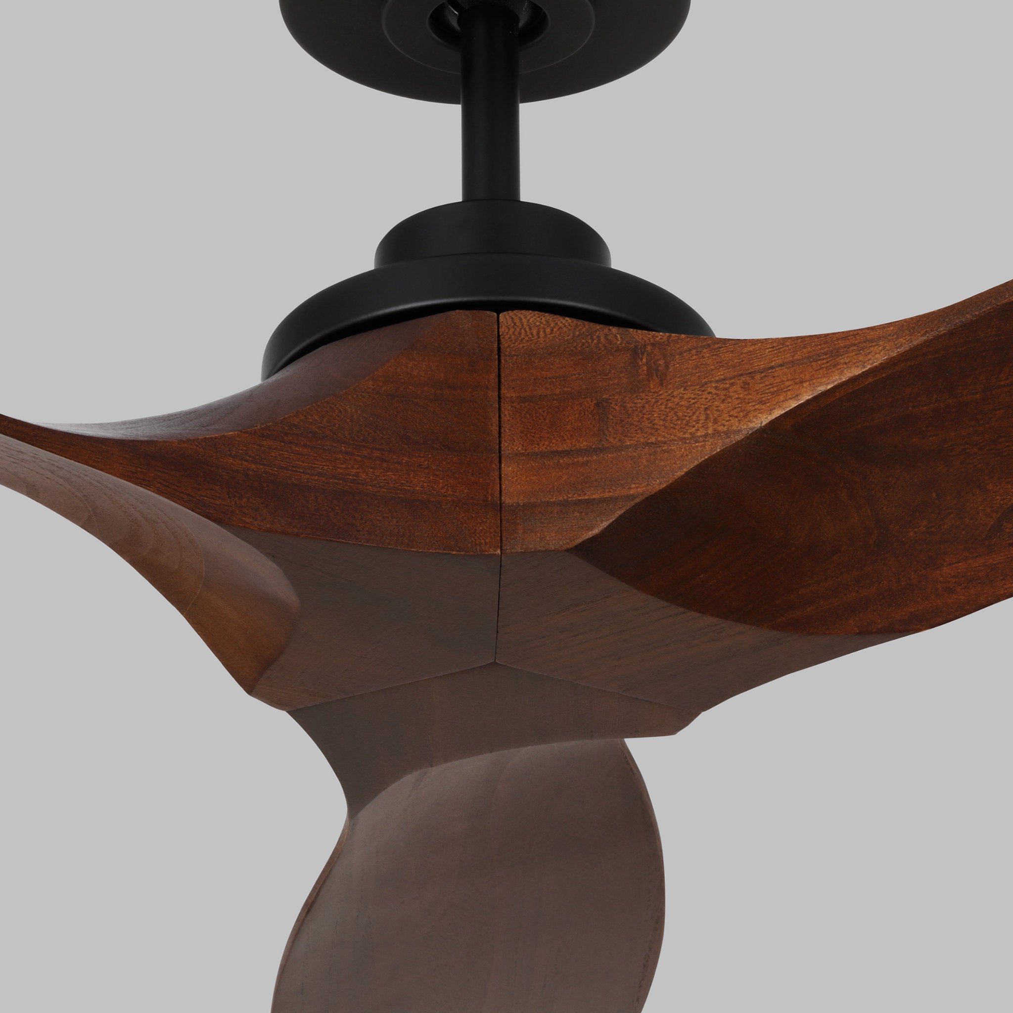 Collins 52" Ceiling Fan in Midnight Black w/ Dark Walnut Blade D:52'' H:12 5/16''