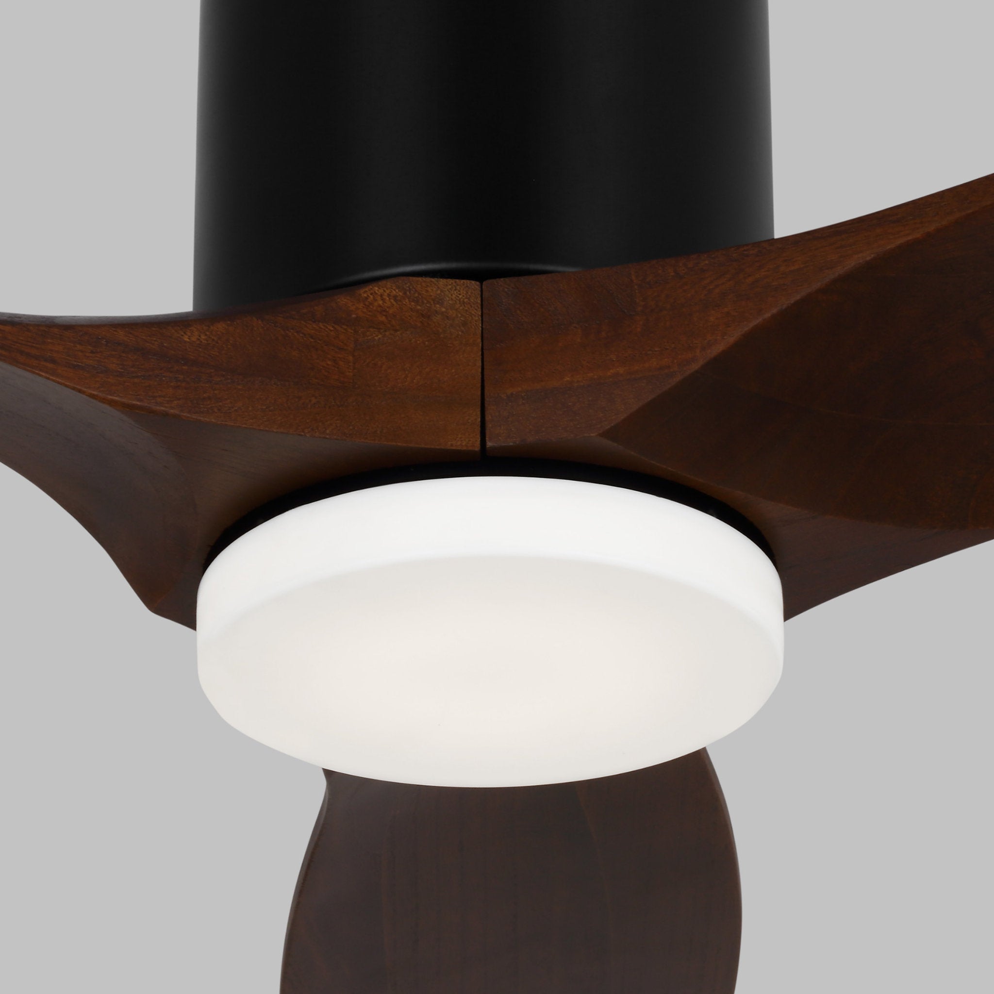Collins 52" LED Ceiling Fan in Midnight Black w/ Dark Walnut Blade D:52'' H:10 5/16''