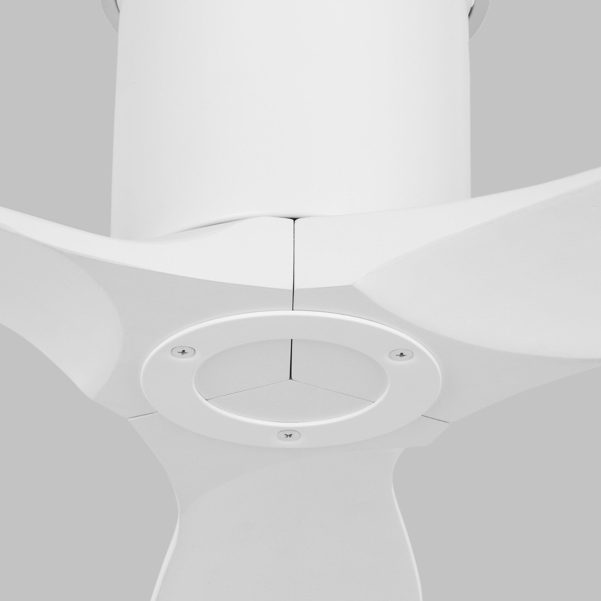 Collins 52" Ceiling Fan in Matte White w/ Matte White Blade D:52'' H:8 19/32''