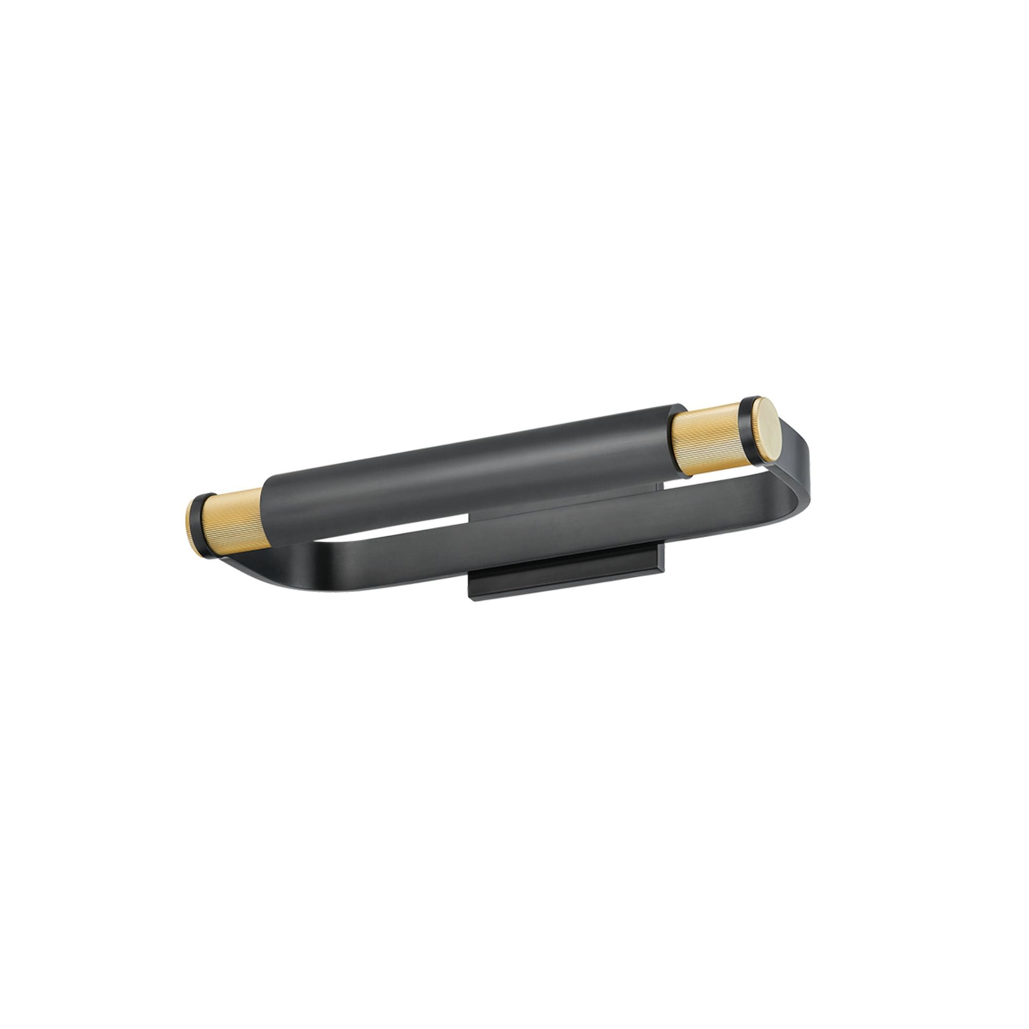 Elm Park 2-Light Picture Light in Aged Brass 18W x 3H (6418-AGB/DB)