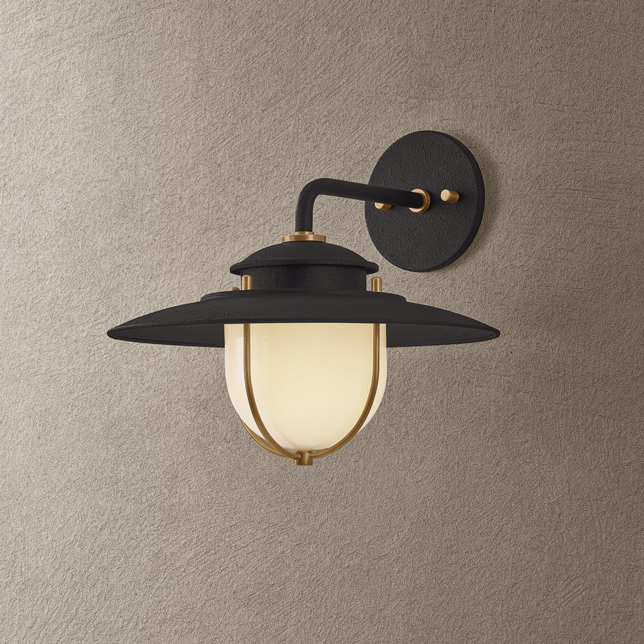 Greentree 1-Light Exterior Wall Sconce in Forged Iron 12W x 11H