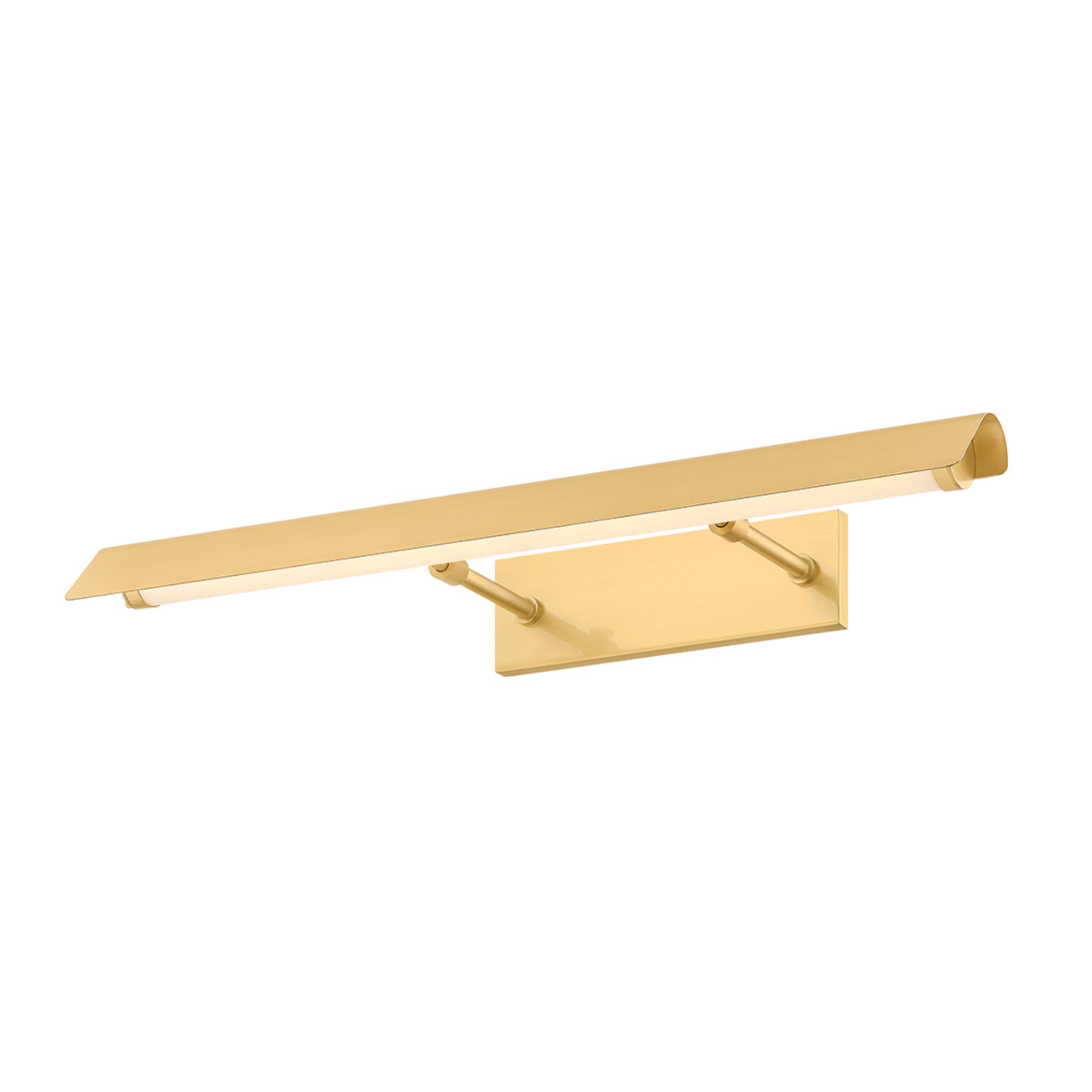 Regan 2-Light Picture Light in Aged Brass 24.5W x 3H