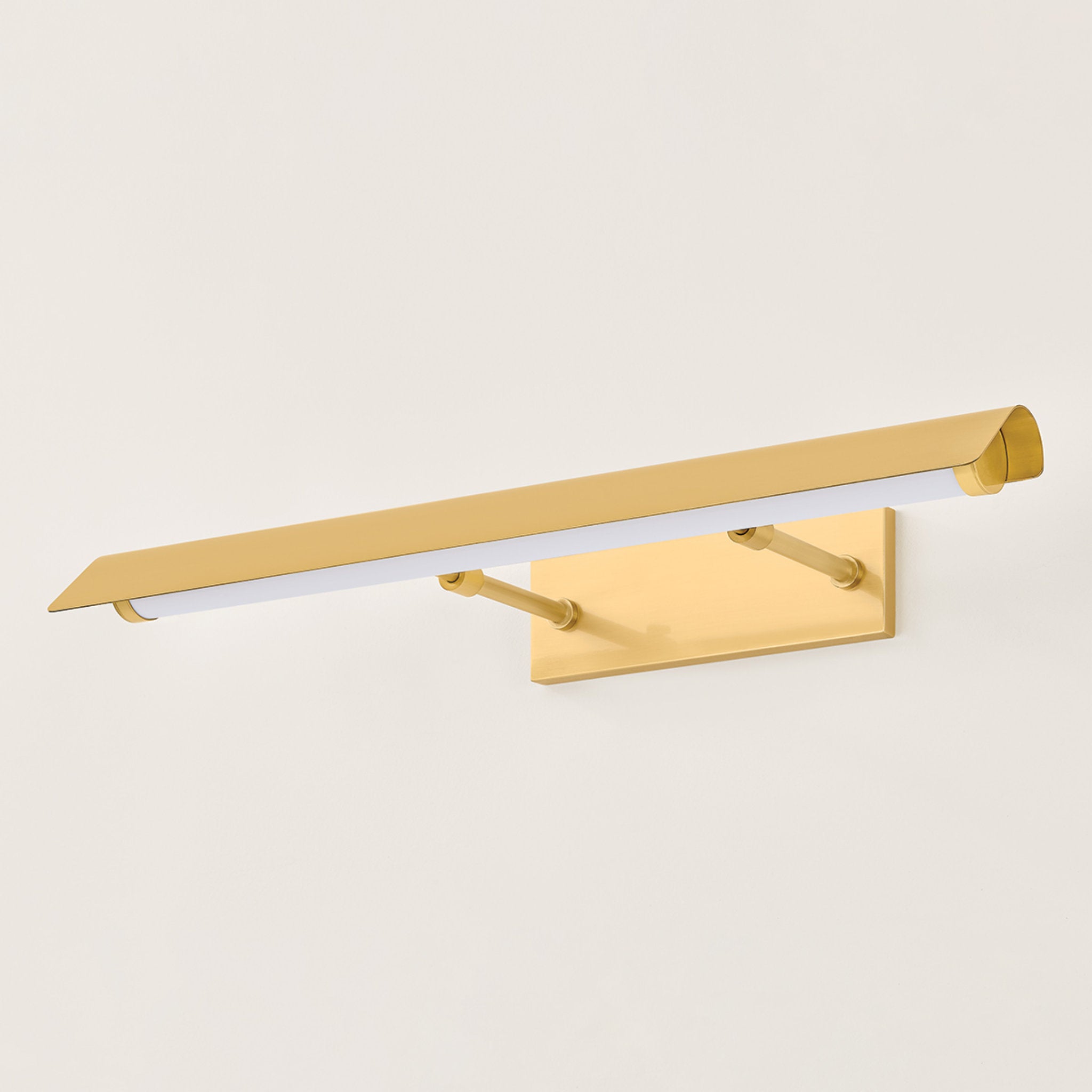Regan 2-Light Picture Light in Aged Brass 24.5W x 3H