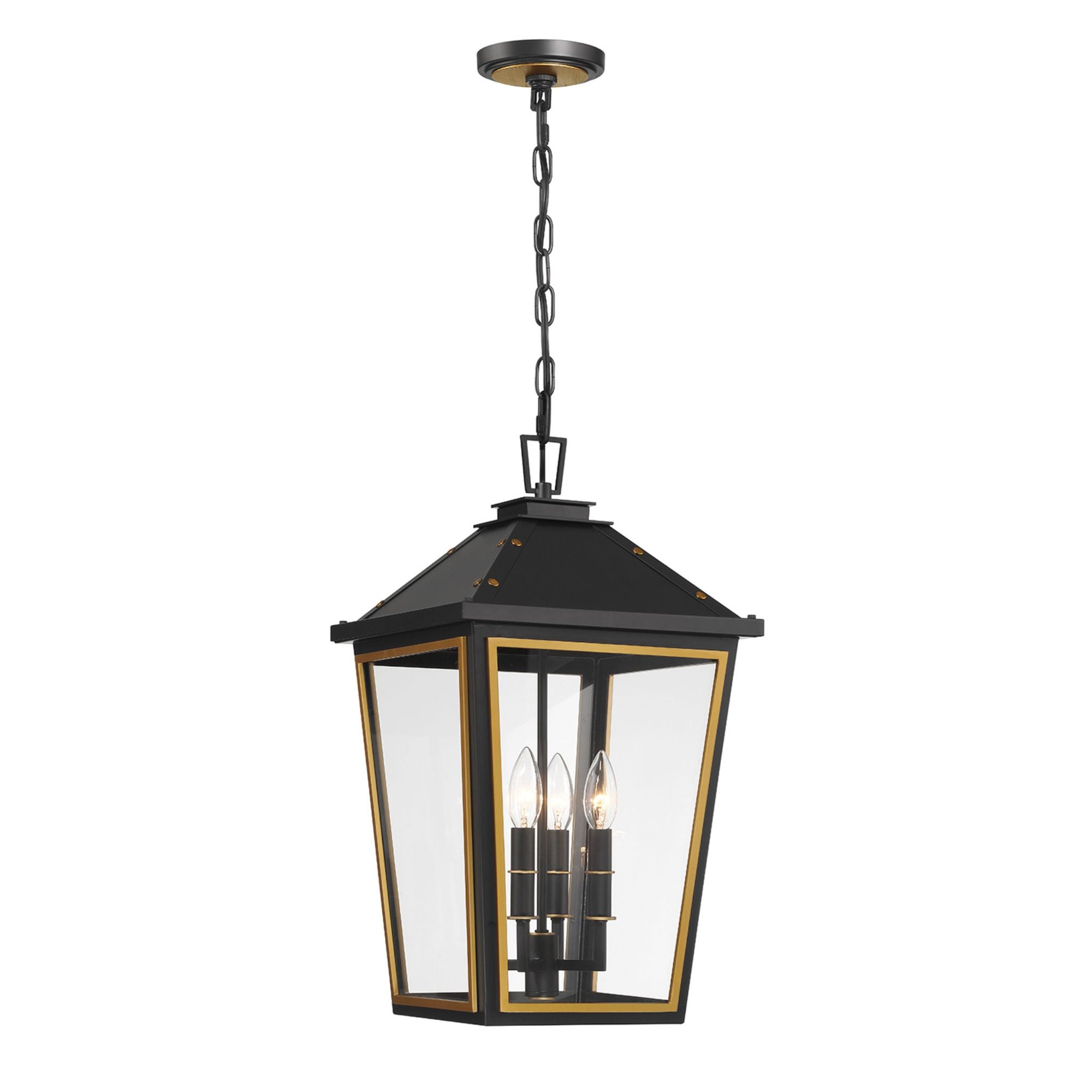 Hawkins 4 Light Matte Black + Textured Gold Outdoor Pendant Clear Glass 12"W x 21.5"H x 12"D