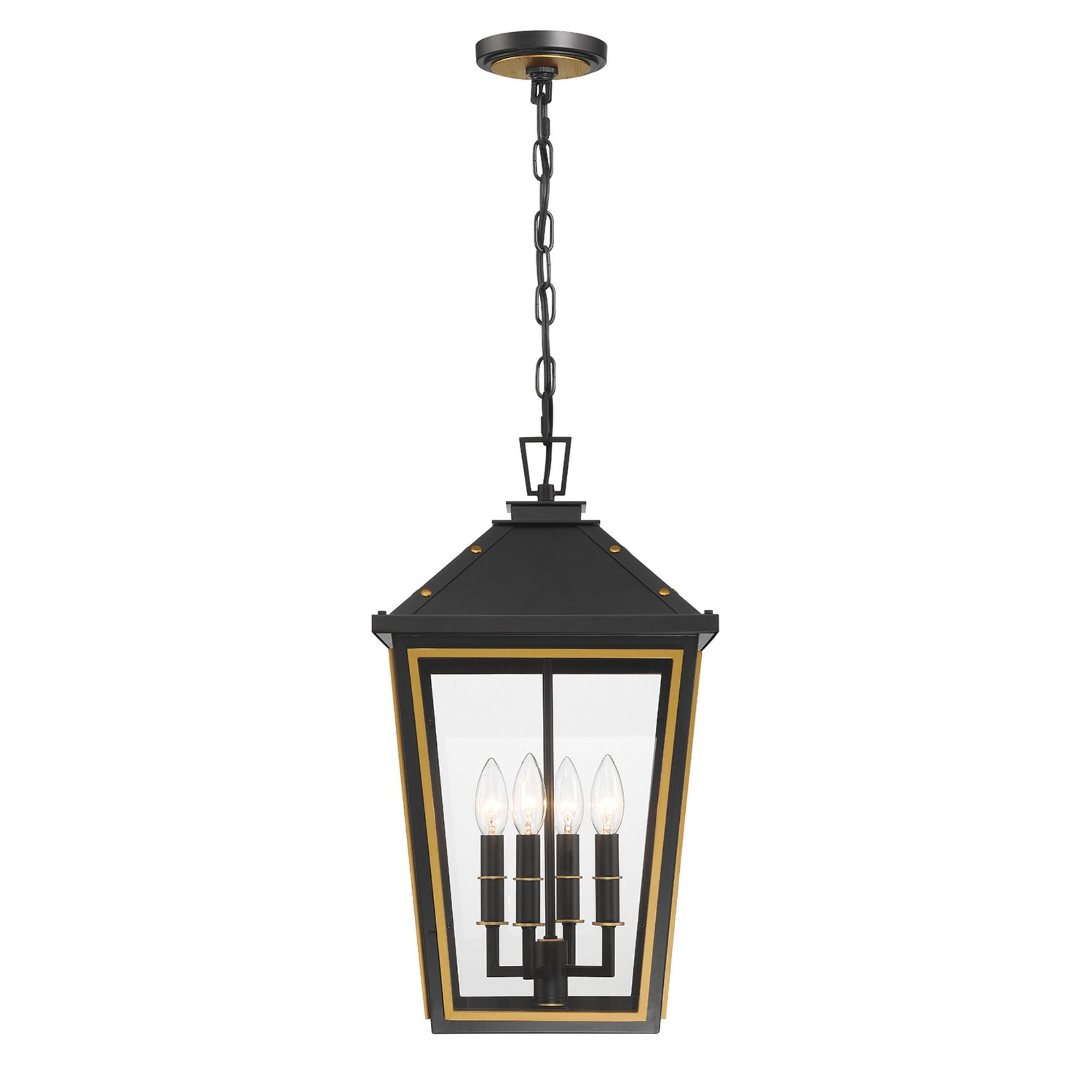 Hawkins 4 Light Matte Black + Textured Gold Outdoor Pendant Clear Glass 12"W x 21.5"H x 12"D