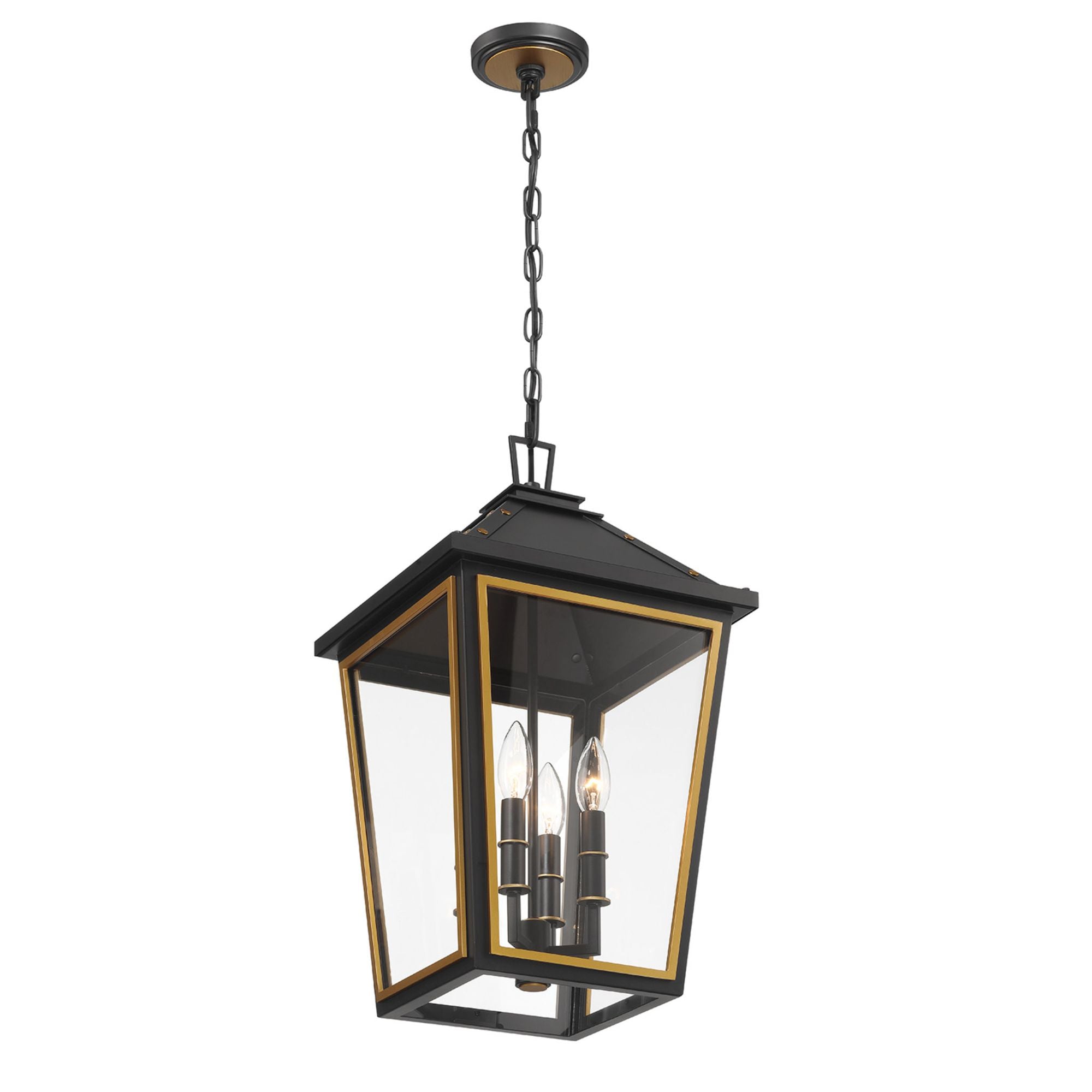 Hawkins 4 Light Matte Black + Textured Gold Outdoor Pendant Clear Glass 12"W x 21.5"H x 12"D