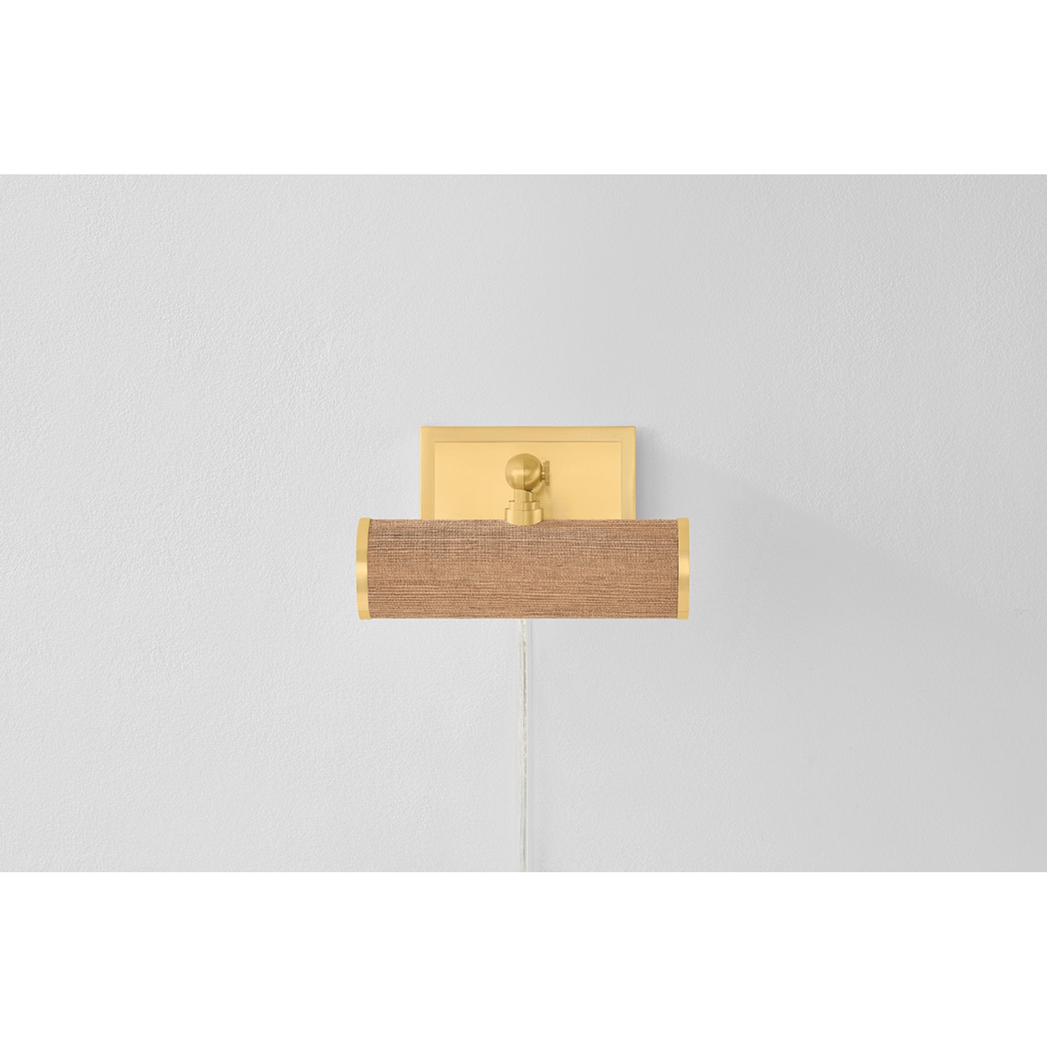 Holly 1-Light Picture Light in Aged Brass 8.25W x 4.75H (HL263201-AGB/GC)
