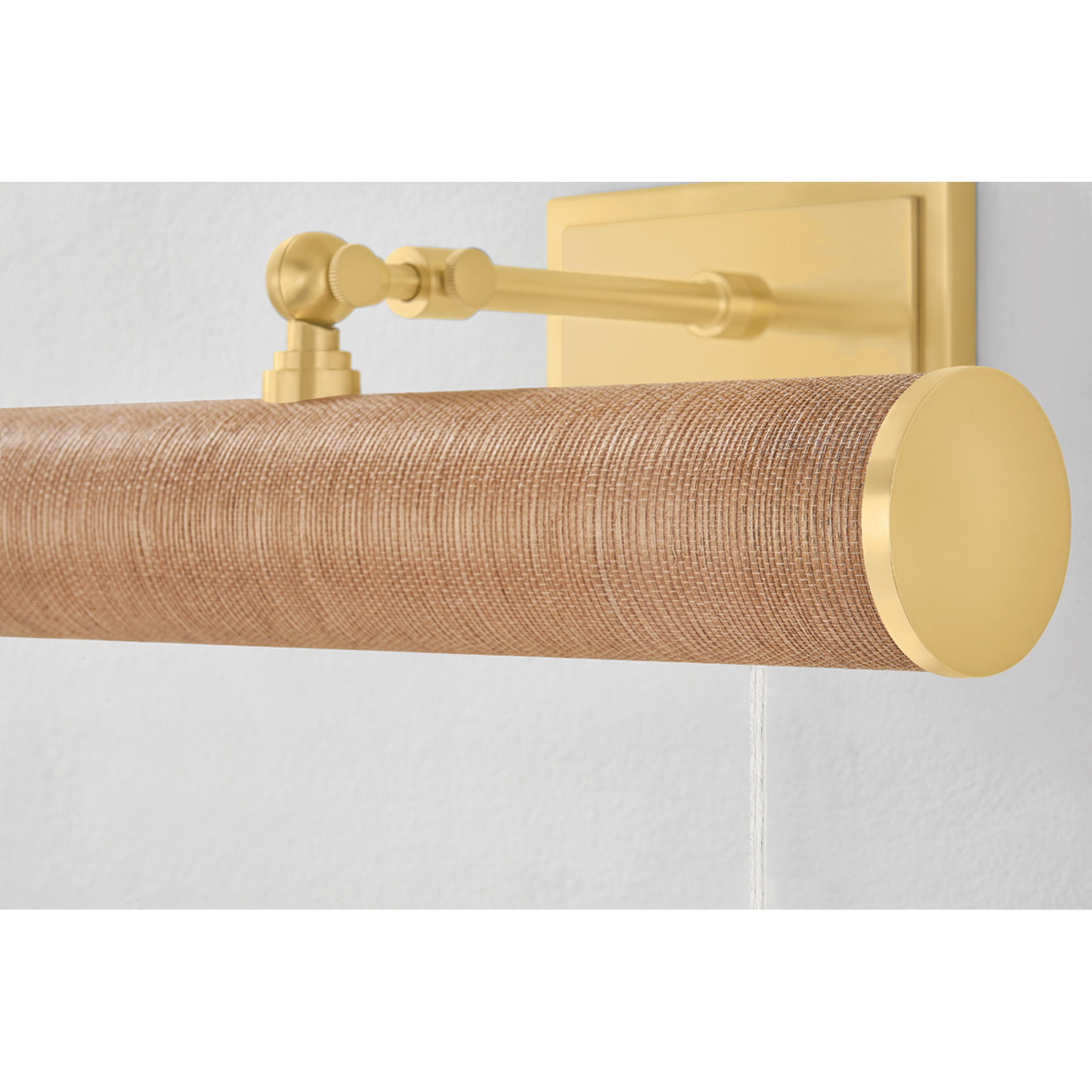 Holly 2-Light Picture Light in Aged Brass 16.25W x 4.75H (HL263202-AGB/GC)