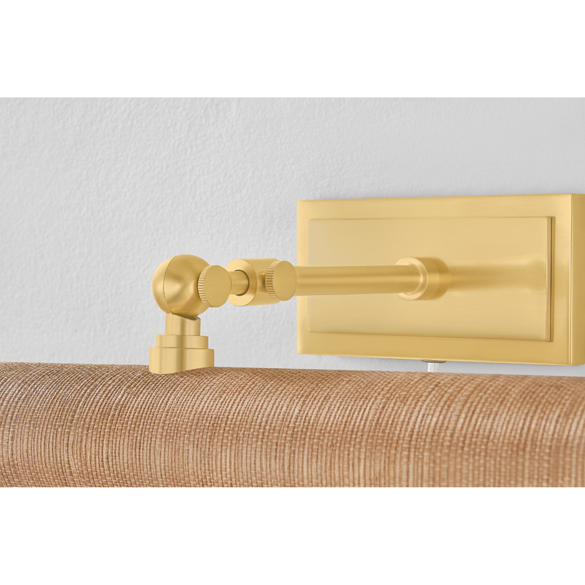 Holly 2-Light Picture Light in Aged Brass 16.25W x 4.75H (HL263202-AGB/GC)