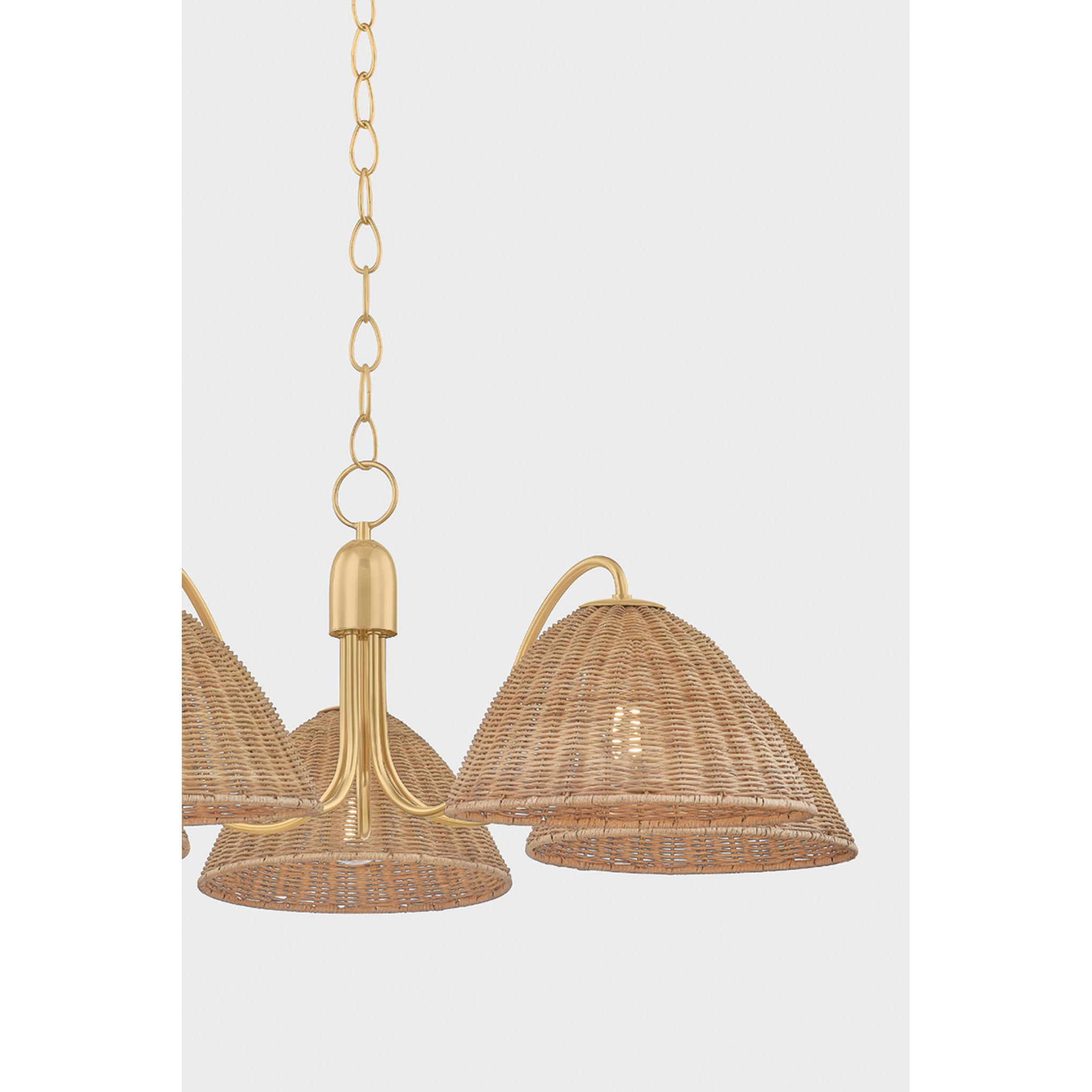 Katniss 5-Light Chandelier in Aged Brass 38.5W x 13.5H