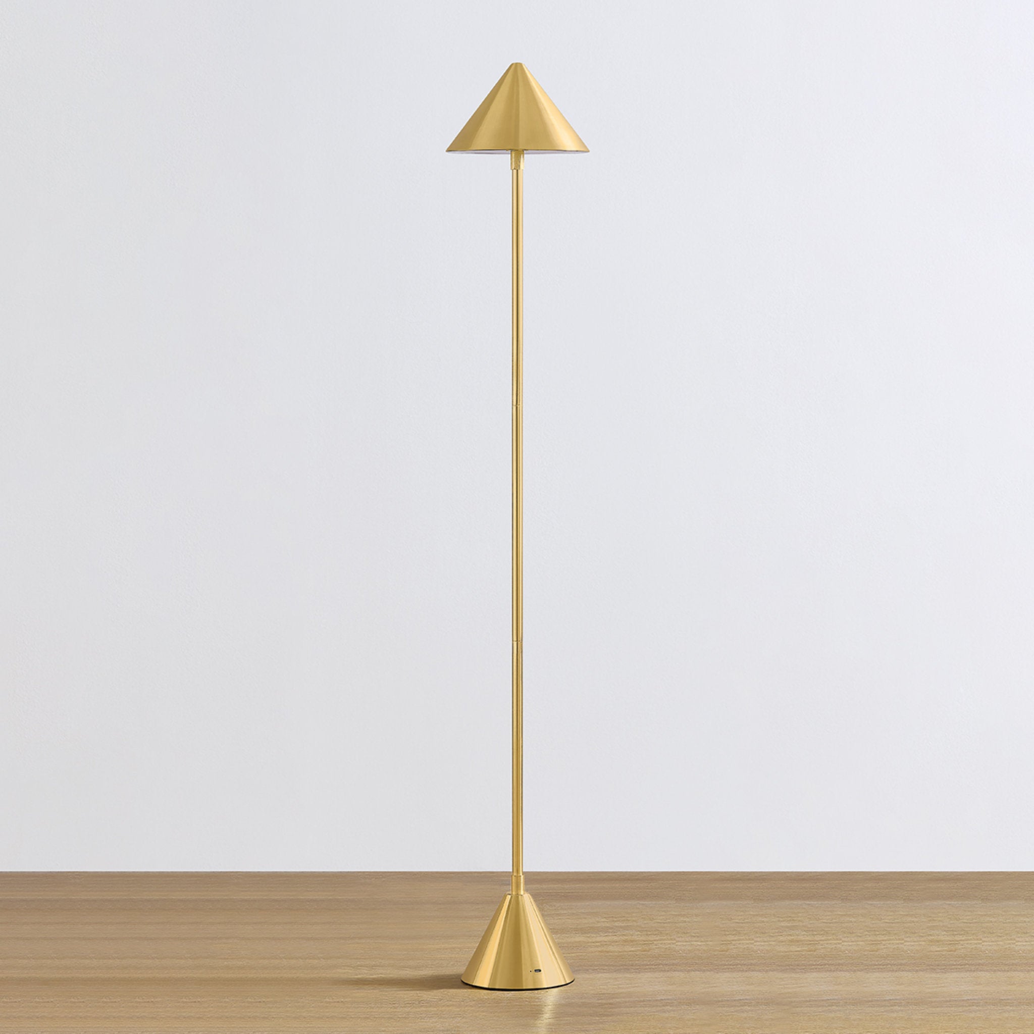 Salma 1-Light Rechargeable Floor Lamp in Aged Brass 7.75W x 49H