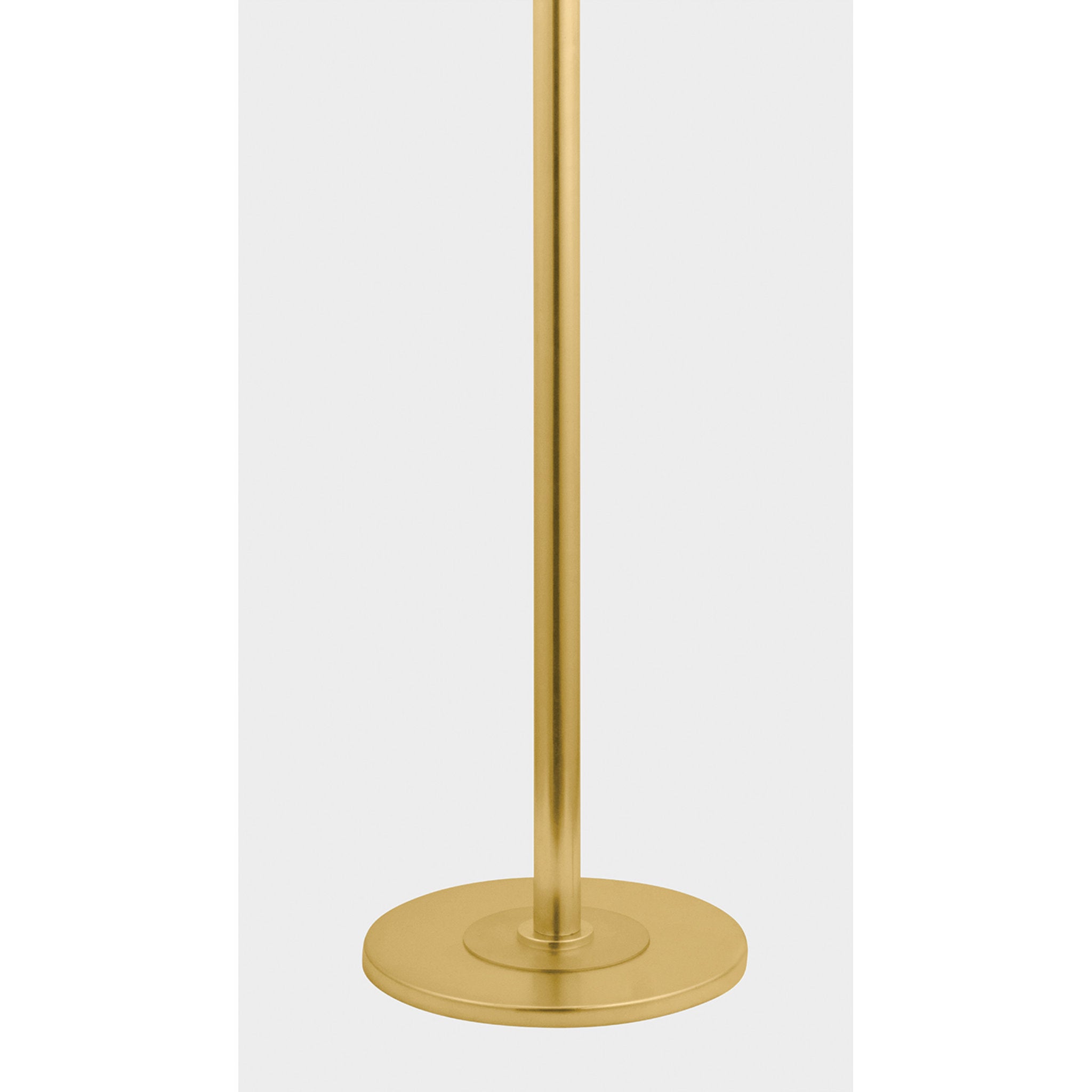 Palmetto 3-Light Floor Lamp in Aged Brass by Cortney Bishop 20W x 64H