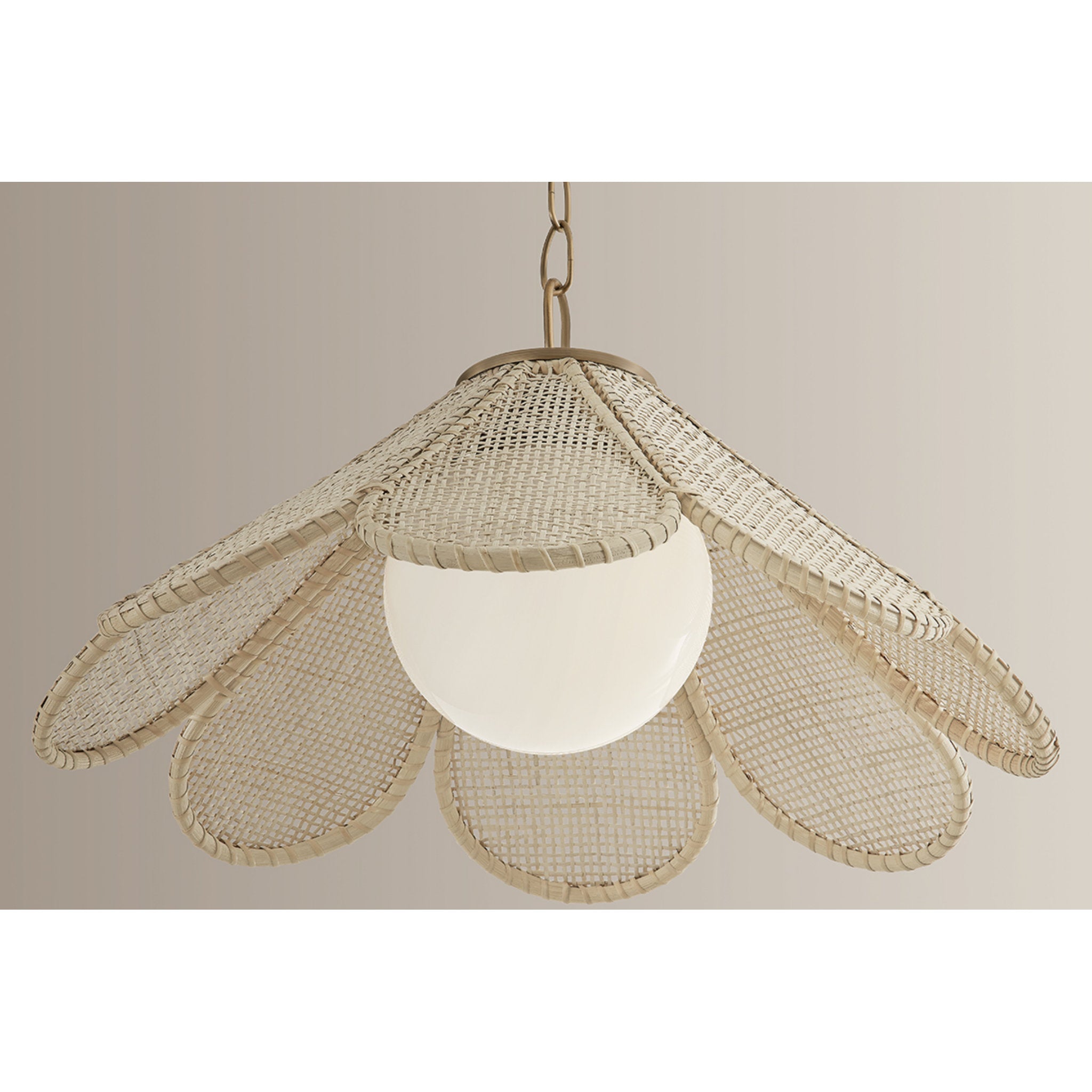 Petal 1-Light Pendant in Patina Brass by Lauren Liess 24W x 12.5H