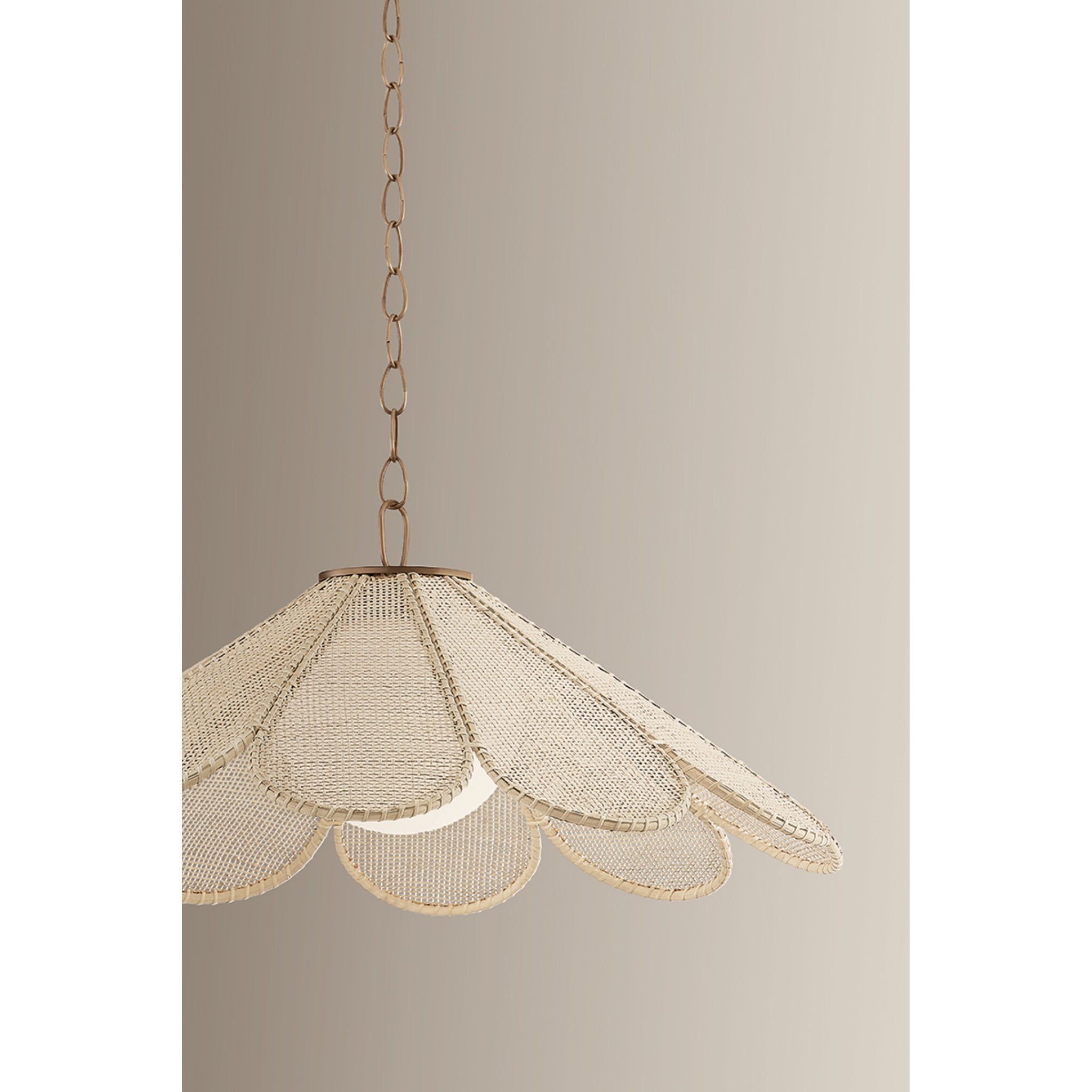 Petal 1-Light Pendant in Patina Brass by Lauren Liess 36.25W x 15.25H