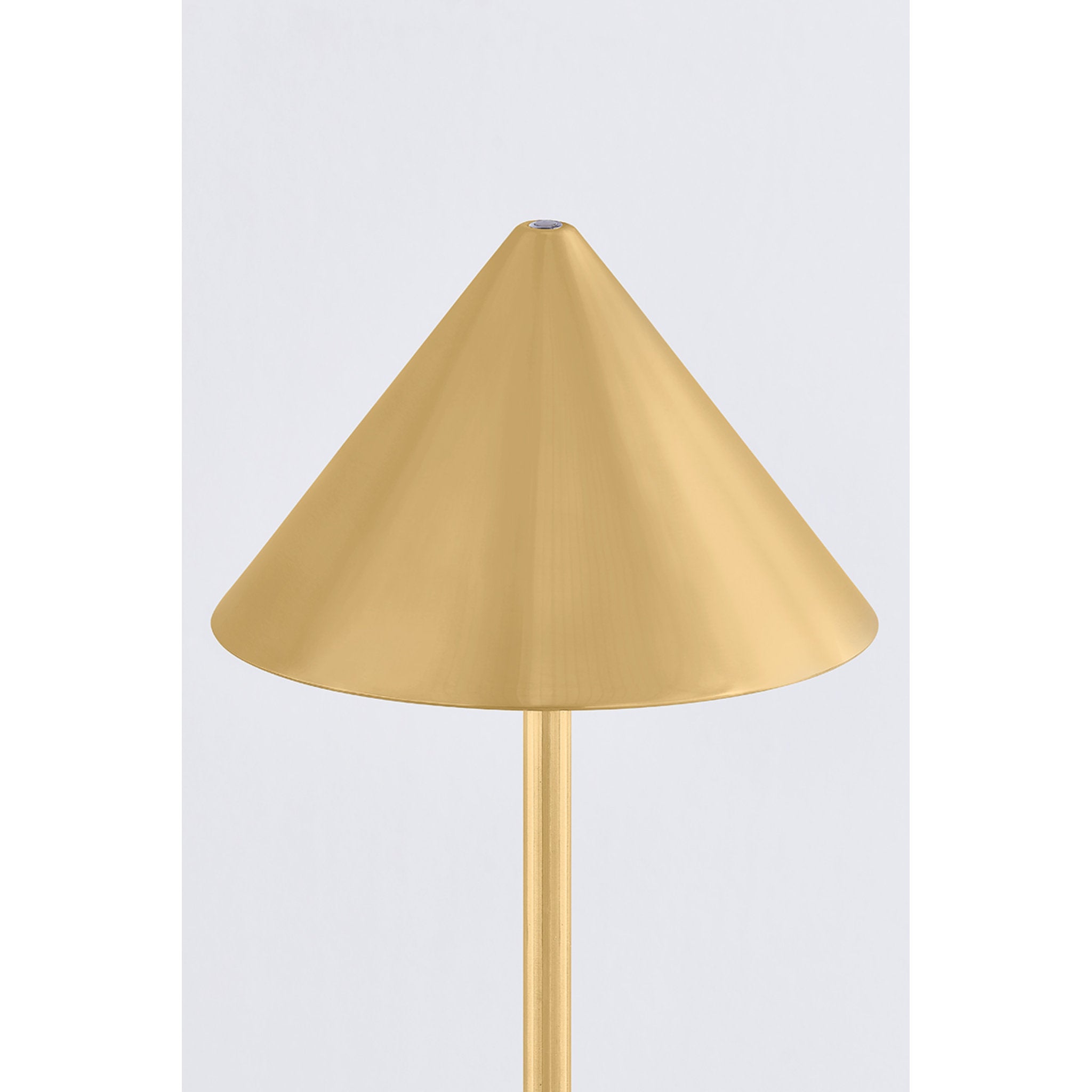 Salma 1-Light Rechargeable Floor Lamp in Aged Brass 7.75W x 49H