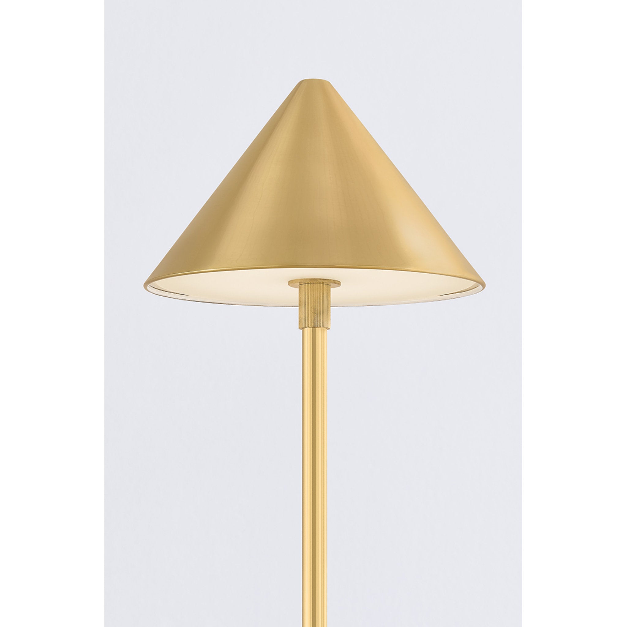 Salma 1-Light Rechargeable Floor Lamp in Aged Brass 7.75W x 49H