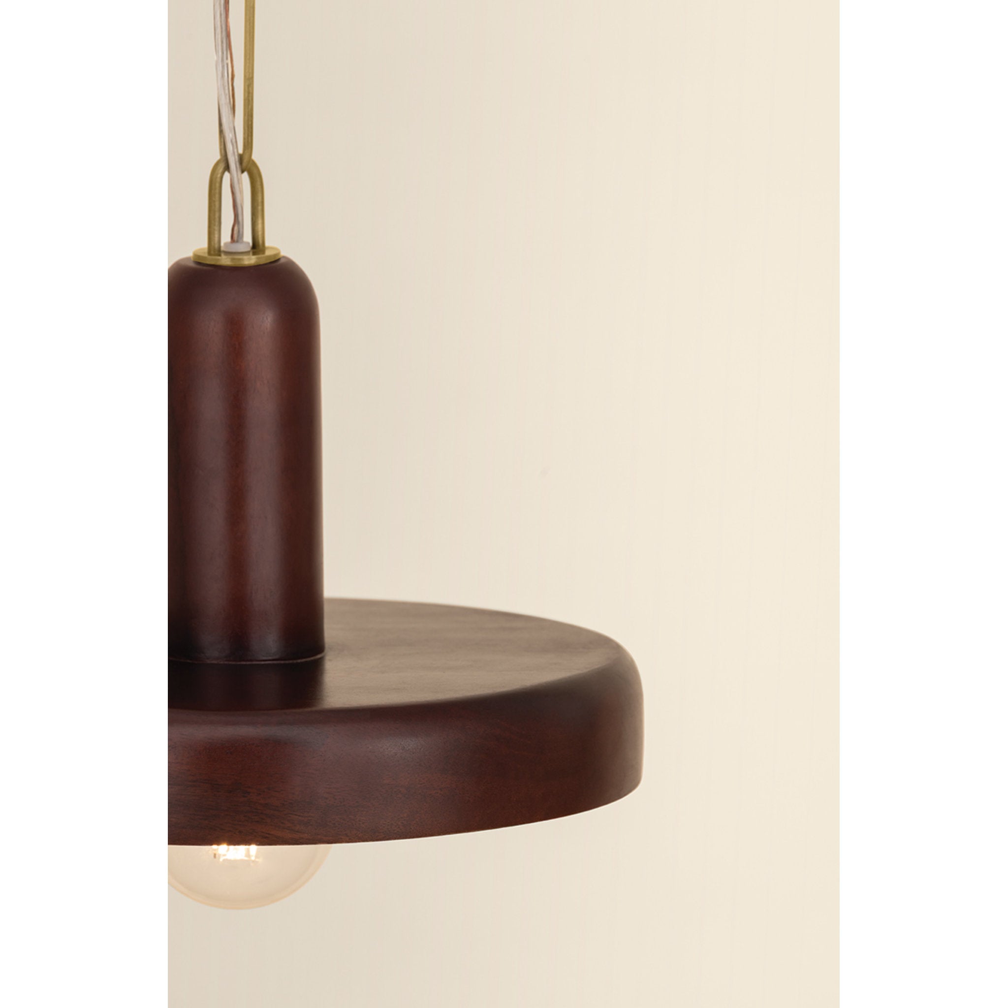 Scheana 1-Light Pendant in Aged Brass 12.5W x 11.5H