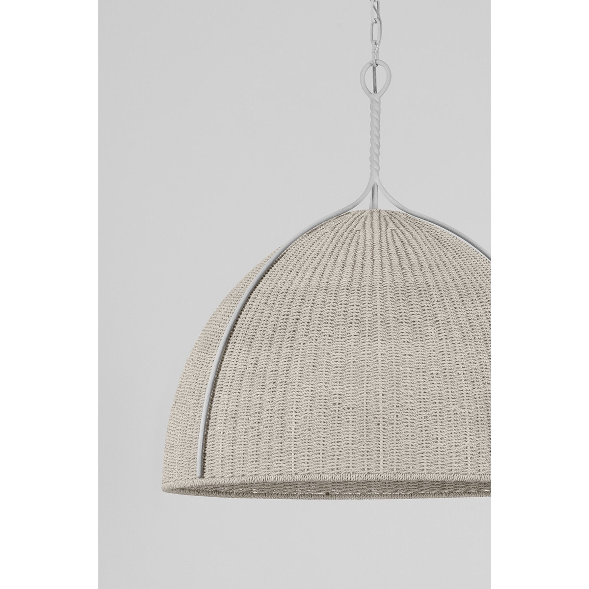 Woodlawn 1-Light Pendant in White Plaster 28.5W x 29.25H