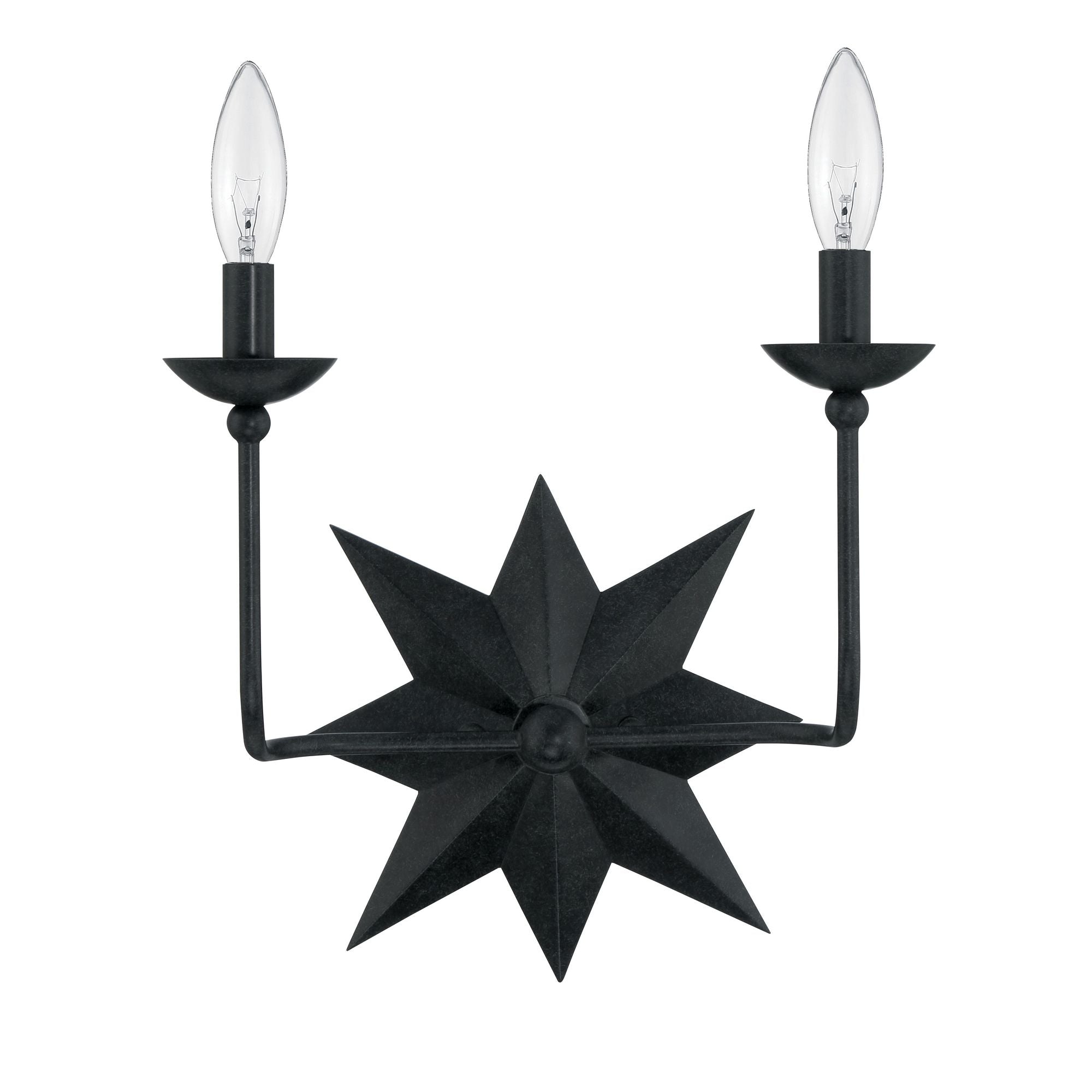 Astro 2 Light Black Sconce 13"W x 15.25"H x 6"D