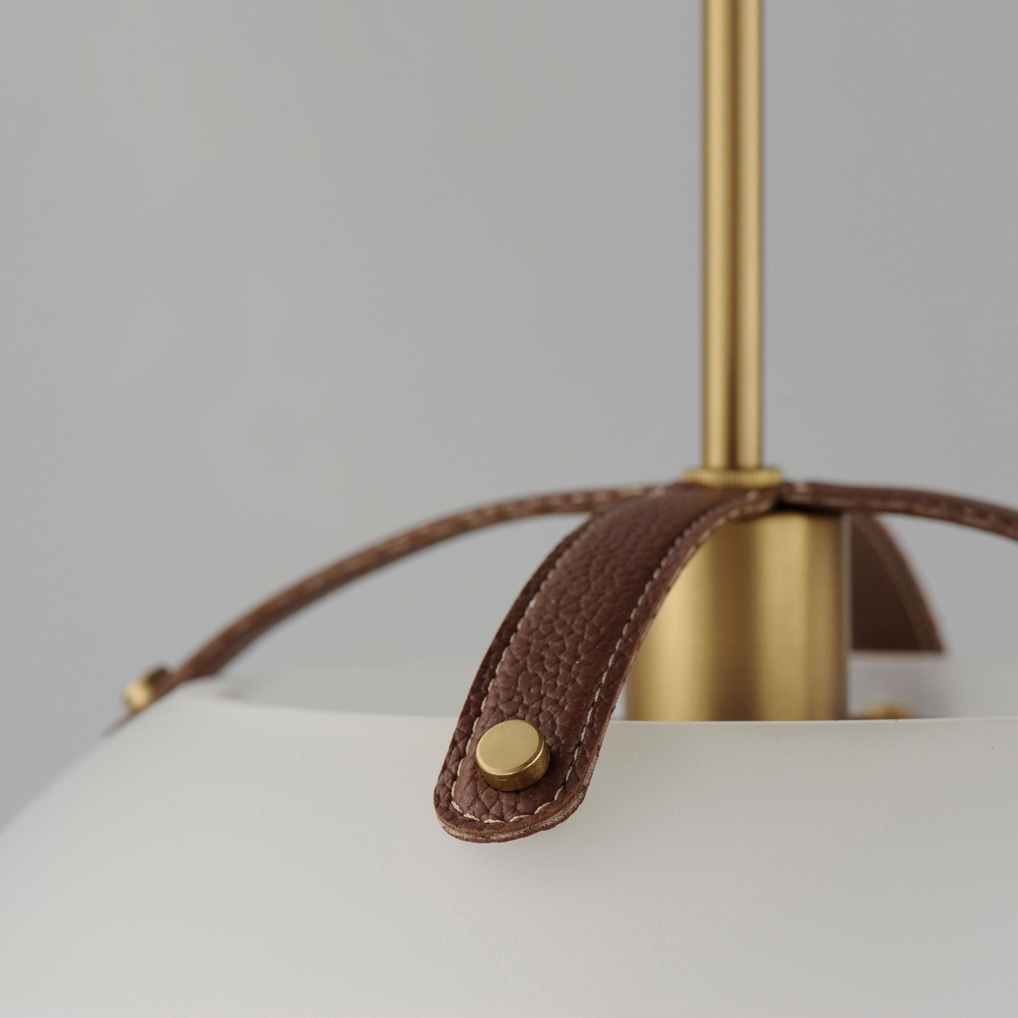 Studio M SM31014FTNAB Domain 14" Pendant Frost/Natural Aged Brass by Mat Sanders