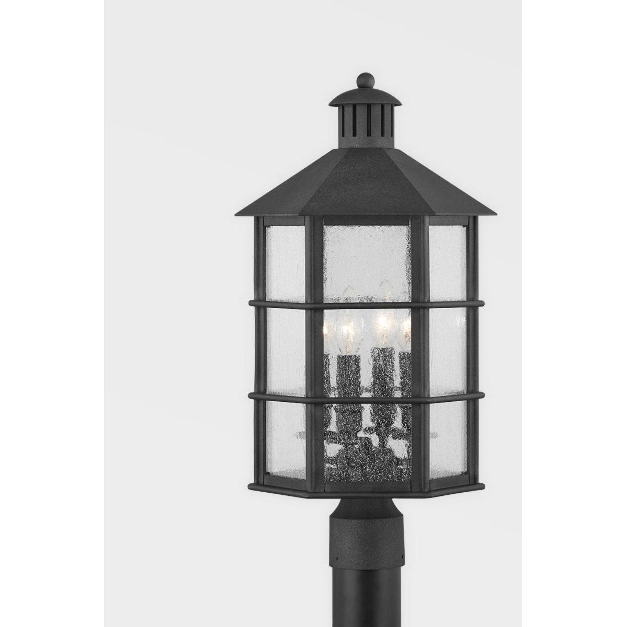 Lake County Flush Mount 2-Light Outdoor LED in French Iron 13.75L x 13.75W x 6.25H