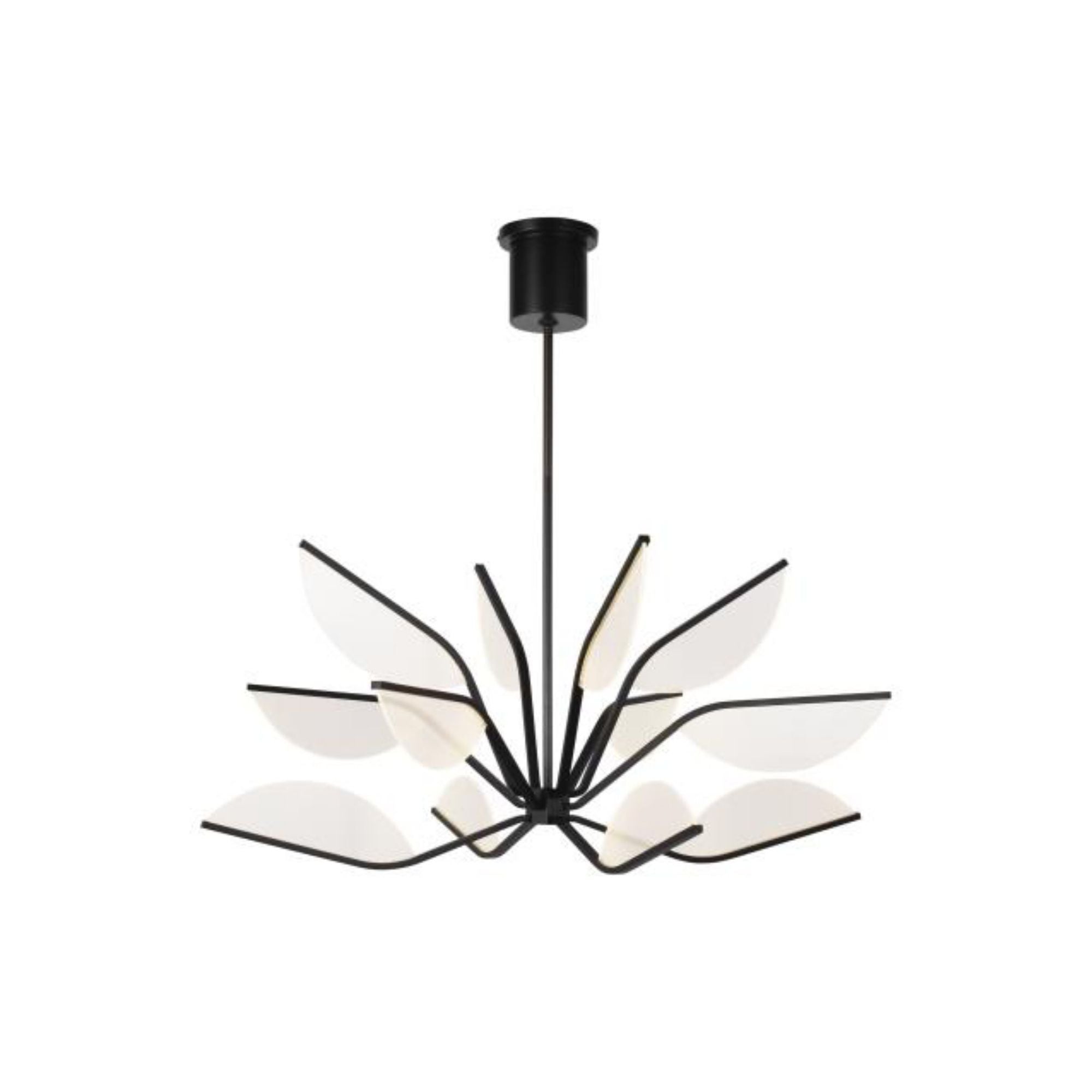 Belterra 38 Chandelier Chandeliers 1-Light LED 3000K Matte Black by Sean Lavin