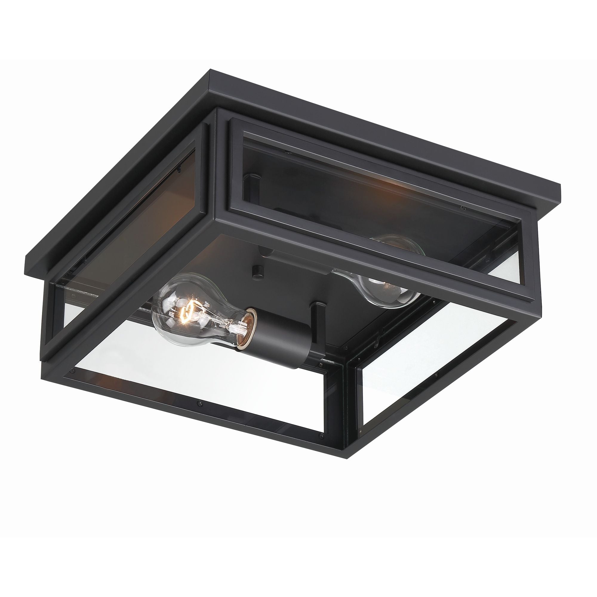 Byron 2 Light Matte Black Outdoor Flush Mount Clear Glass 12.75"W x 5"H x 12.75"D