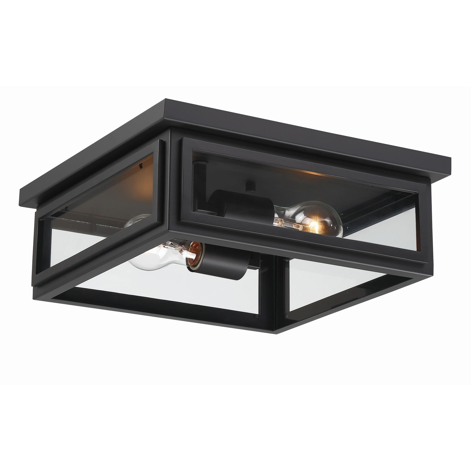 Byron 2 Light Matte Black Outdoor Flush Mount Clear Glass 12.75"W x 5"H x 12.75"D