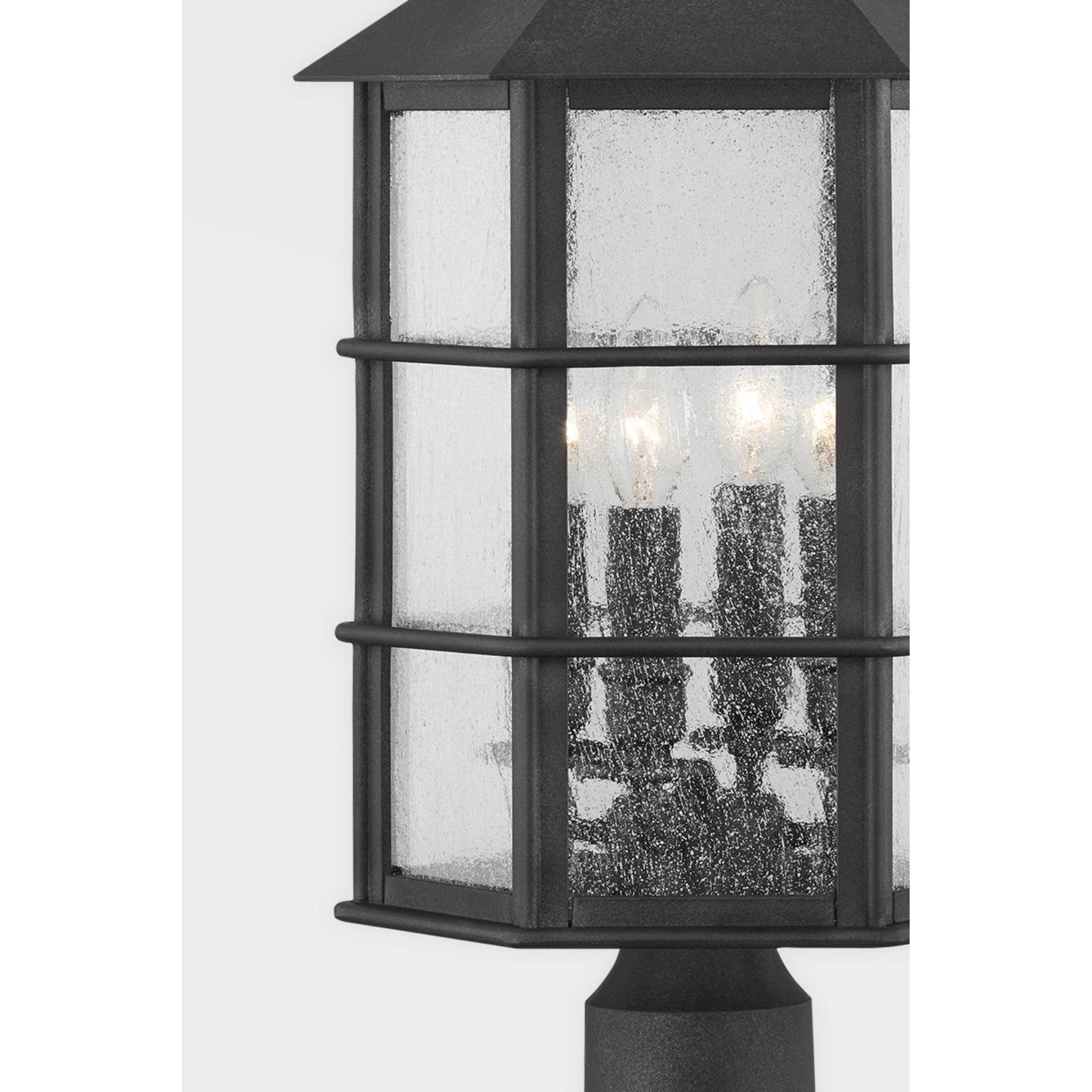 Lake County 4-Light Exterior Wall Sconce in French Iron by Mark D. Sikes 11.5W x 21H