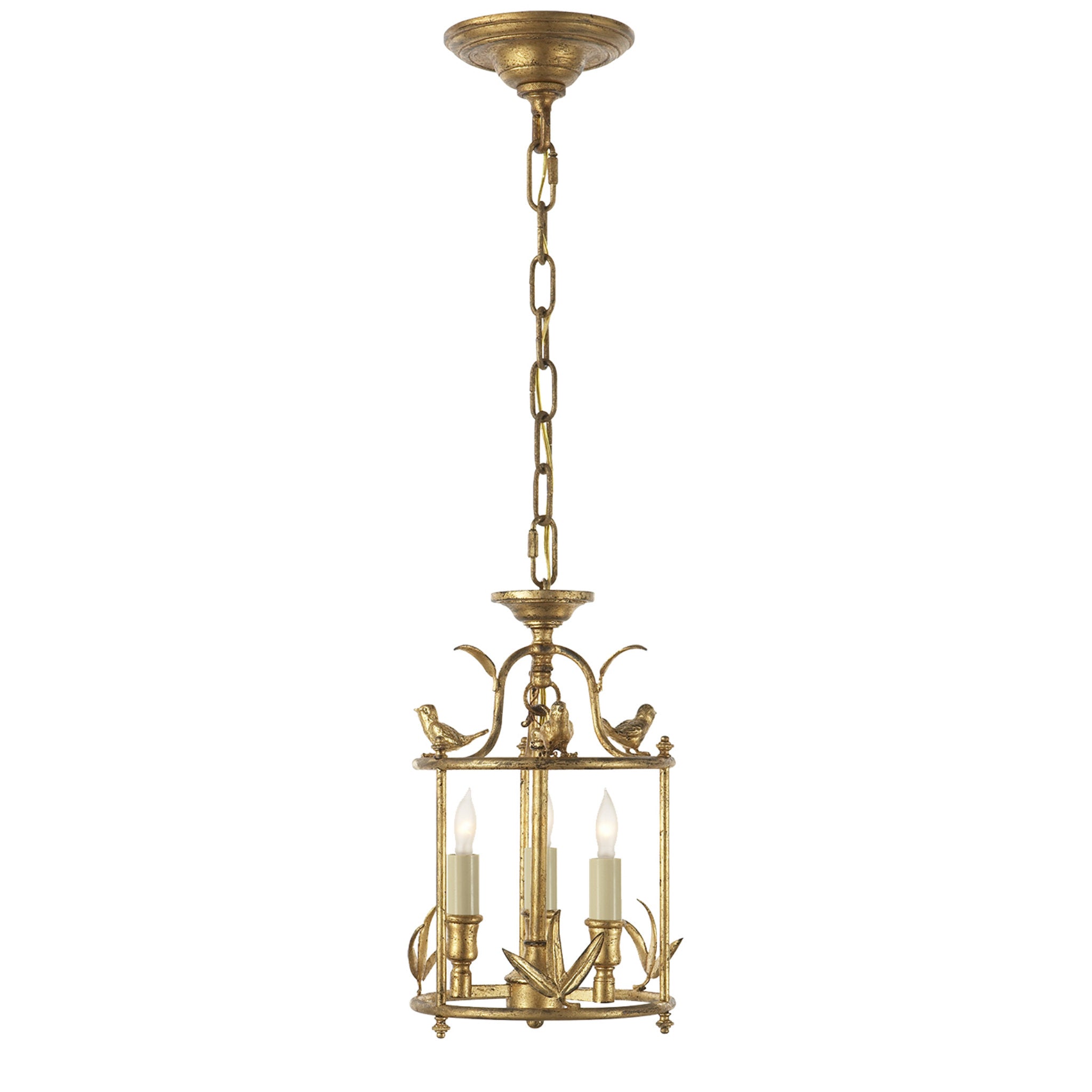 Chapman & Myers Diego Petite Classical Perching Bird Lantern in Gilded Iron Ceiling Light W8" x H14"