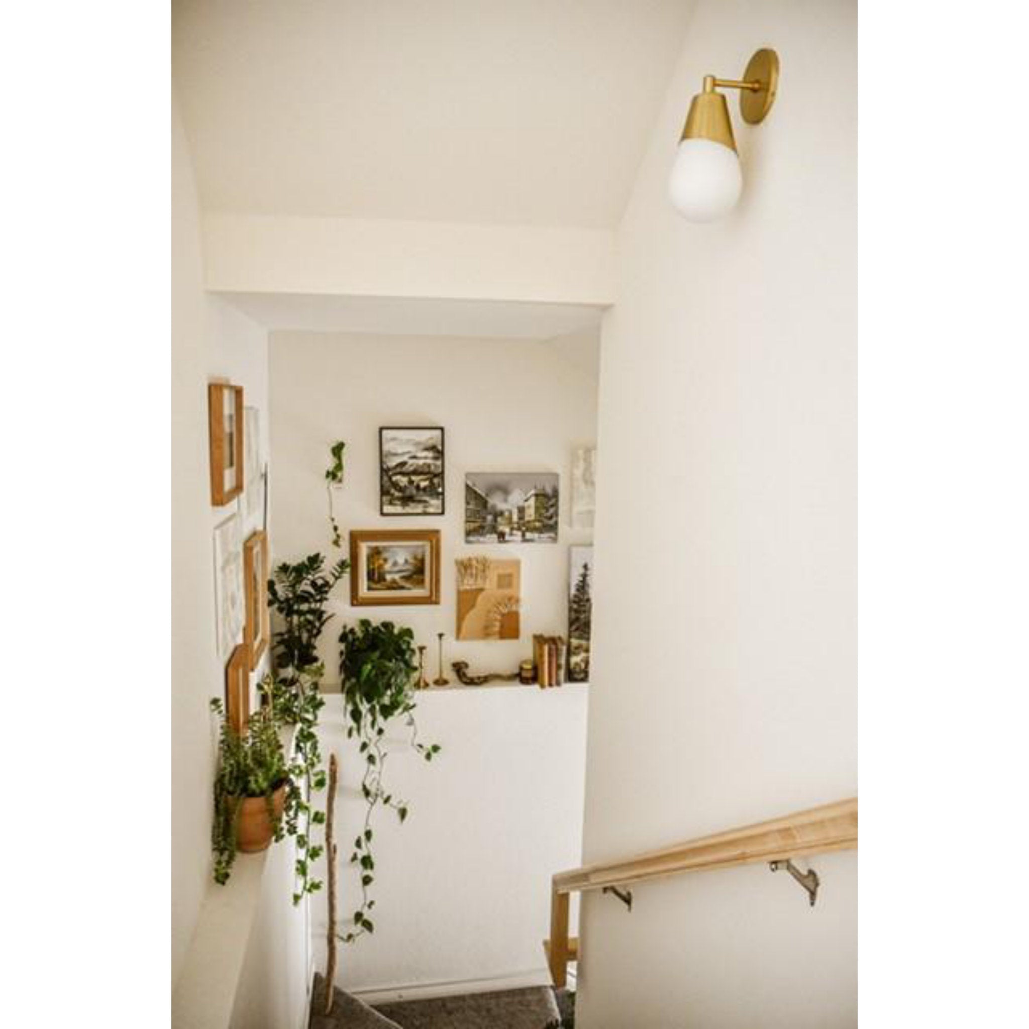 Cora 1-Light Wall Sconce in Aged Brass 5L x 5W x 11.75H