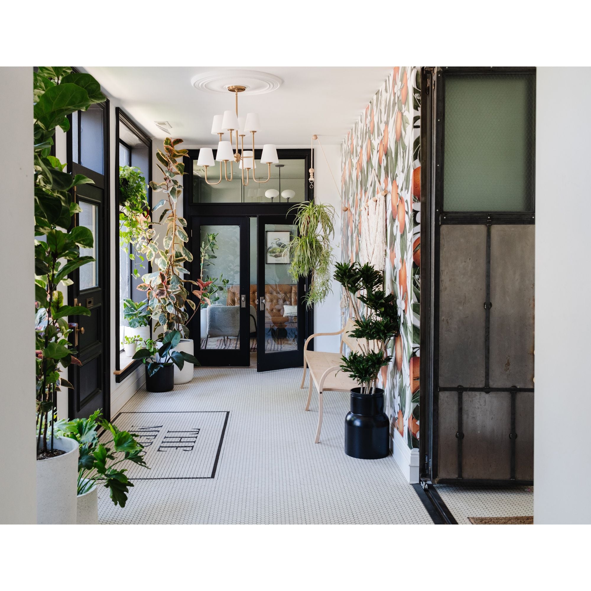 Keenan 8 Light Vibrant Gold Chandelier Glass Shade 28"W x 22.5"H x 28"D