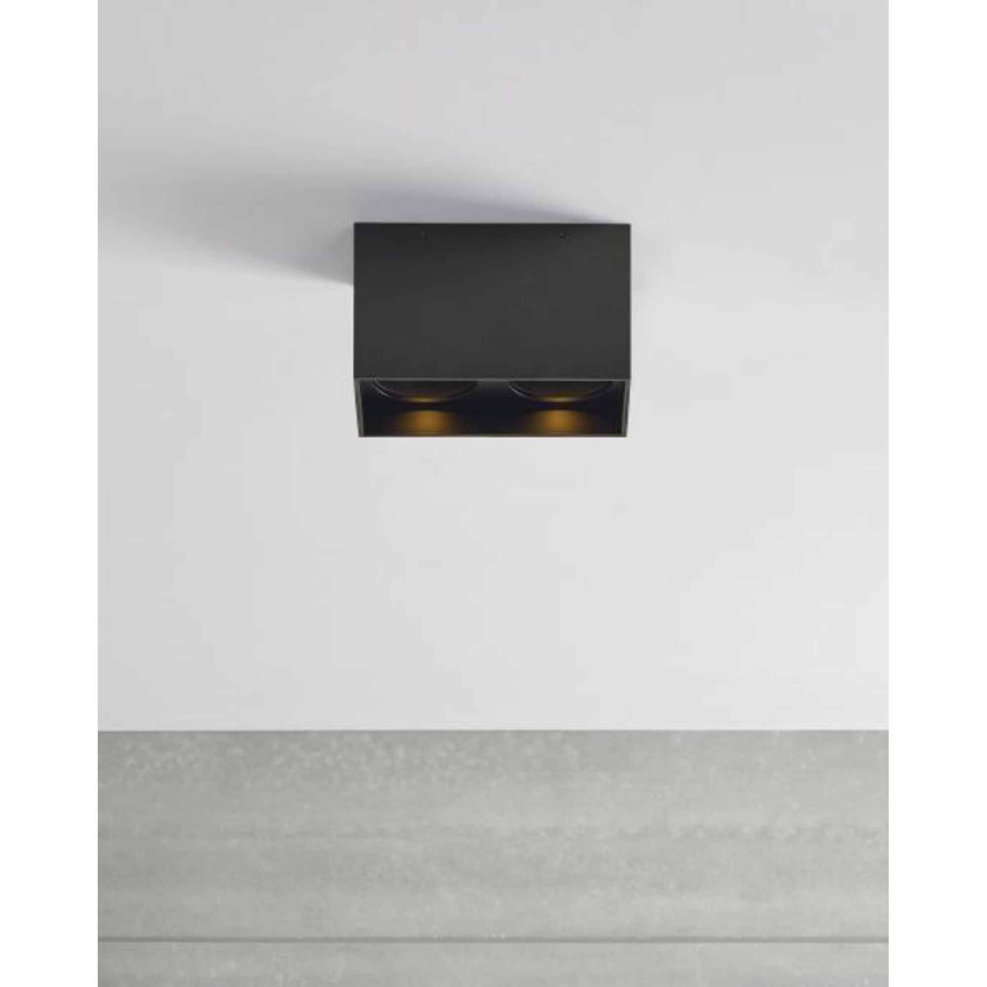 Exo 6 Dual Flush Mount Flush & Semi-Flush Mount 2-Light LED 2700K Black by Sean Lavin