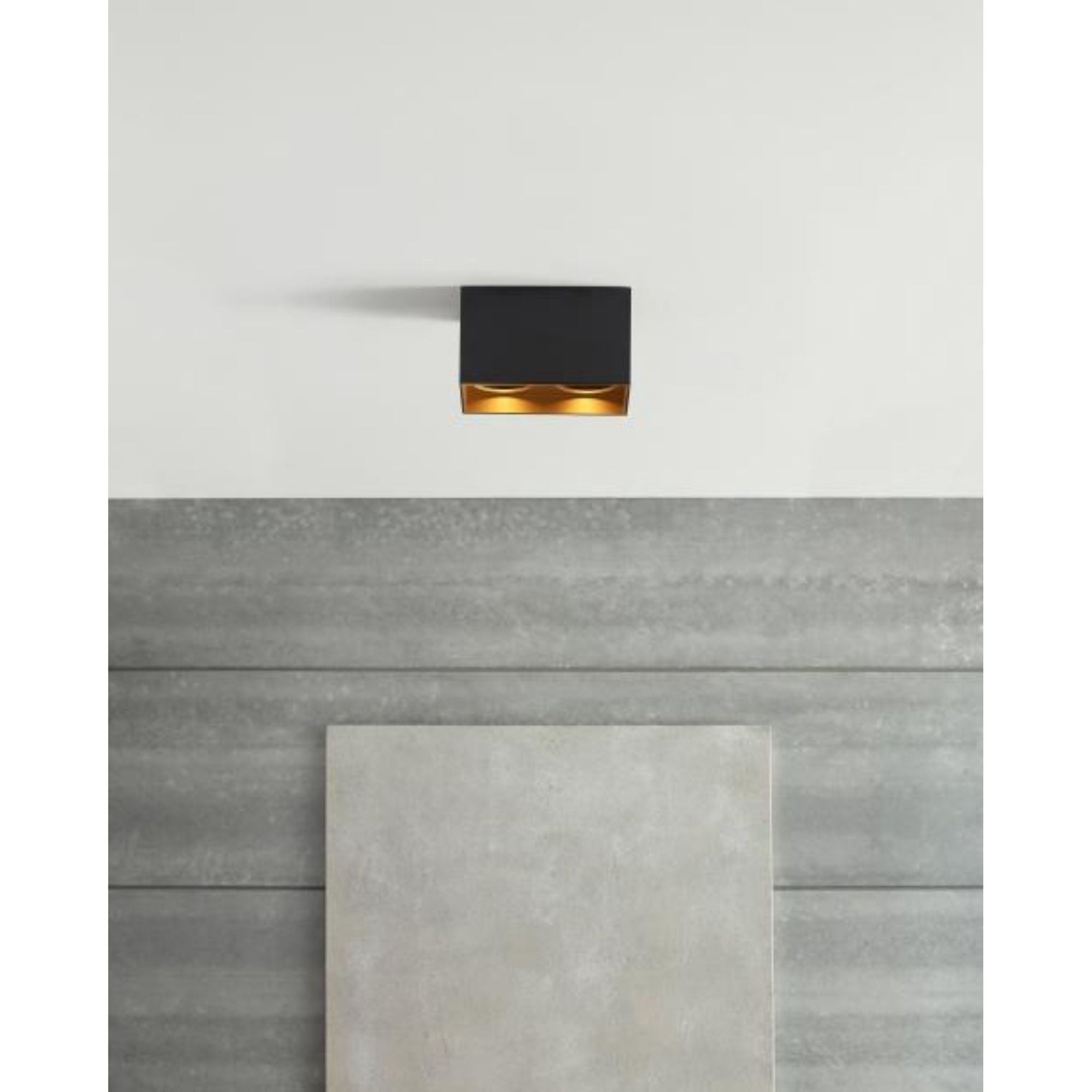 Exo 6 Dual Flush Mount Flush & Semi-Flush Mount 2-Light LED 2700K Black by Sean Lavin