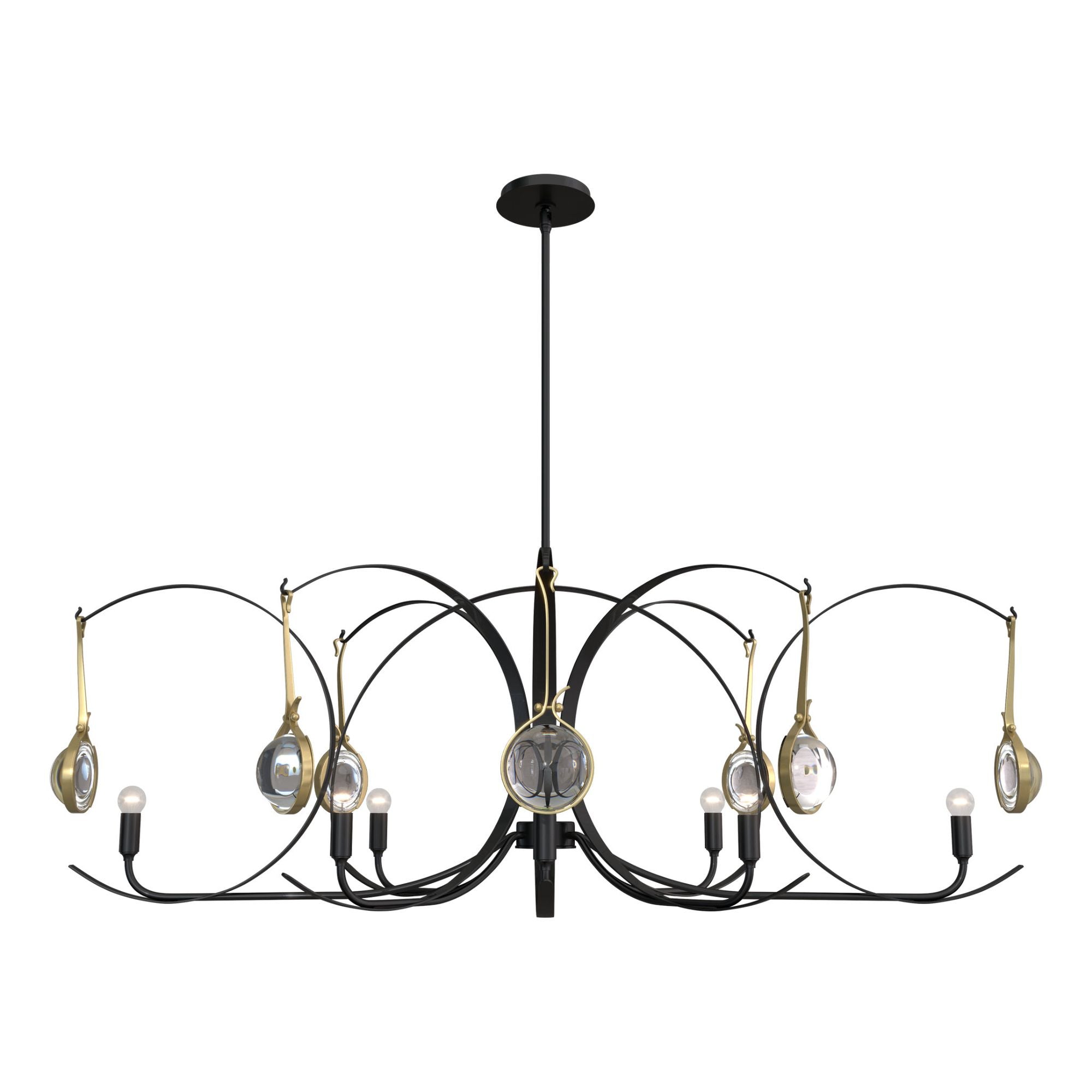 Optic 8-Light Oval Pendant 8-Light Modern Brass Accent Clear Glass (ZM) in Black